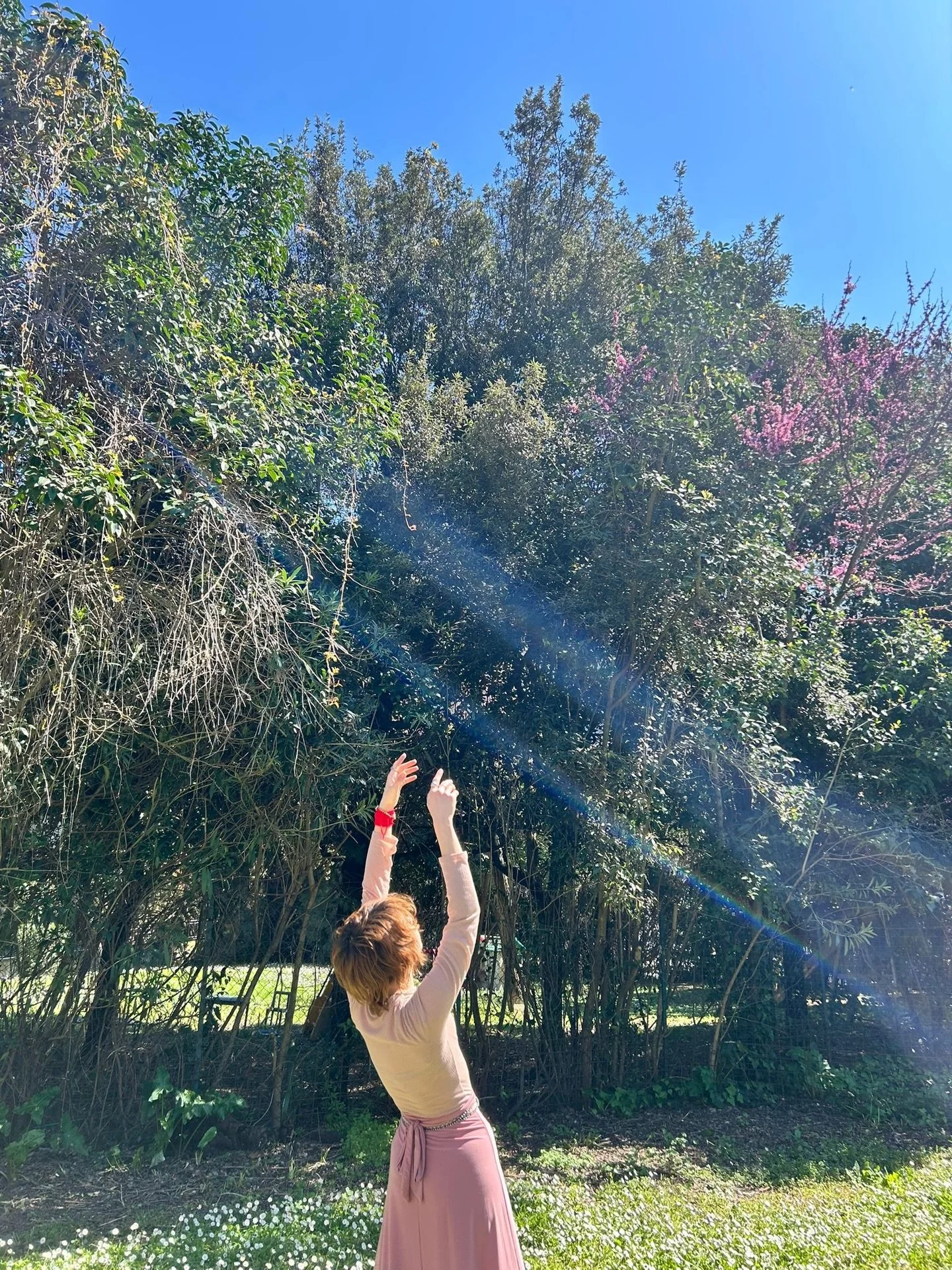 Amata primavera: estrema elevata risistemazione 🌷