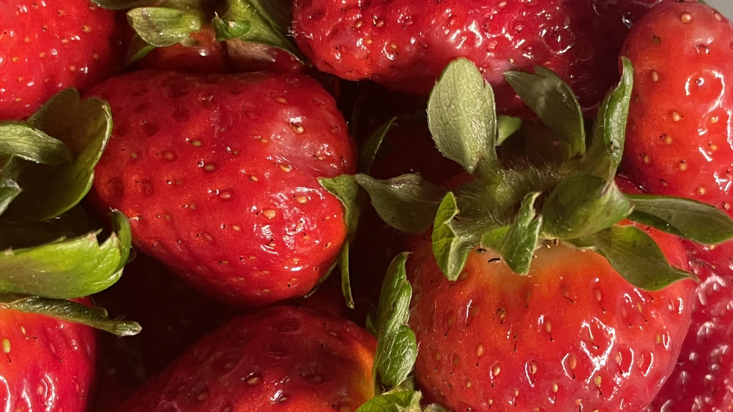 LE FRAGOLE SULLA SCOGLIERA