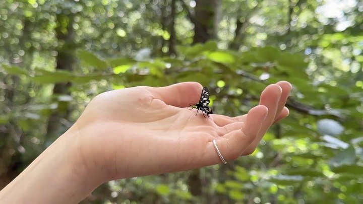 Mi ricordo della semplicit&agrave; solo dopo aver attraversato attriti. Mi ricordo della resa quando la natura, anche piccola, mi contatta con la sua immensa fragilit&agrave;.

👁️ con gli occhi di @alyssasabry 

Un giorno l&rsquo;uomo si sar&agrave;
