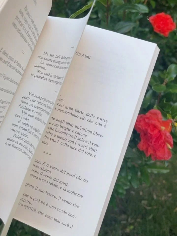 Le cose hanno una casa nel sol momento in cui scegli di farle collassare. 
Non c&rsquo;&egrave; dubbio. Non c&rsquo;&egrave; ragione. Non c&rsquo;&egrave; morale.

E la via dell&rsquo;artista &egrave; quella di colui che sa spostarti da dove sei, per