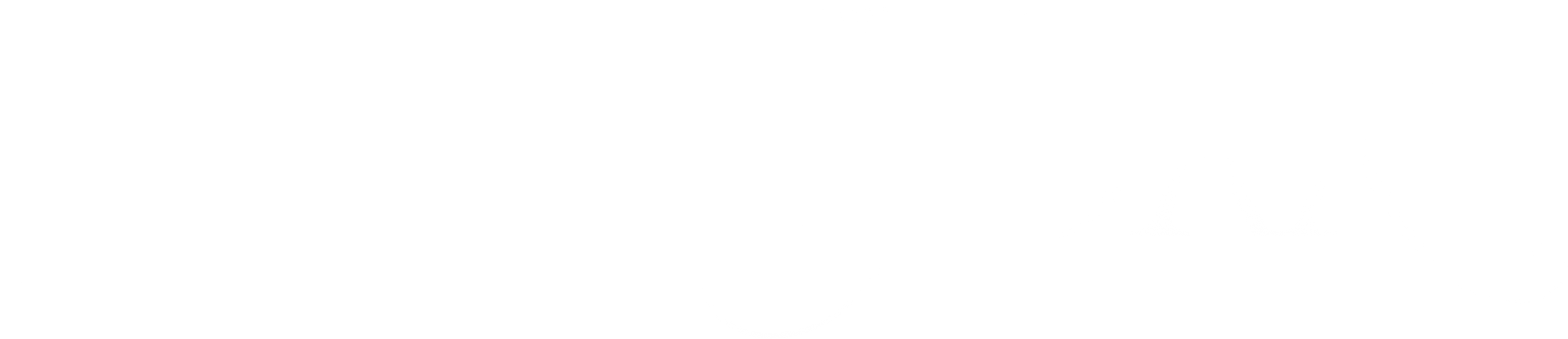 New York Mag Logo White.png