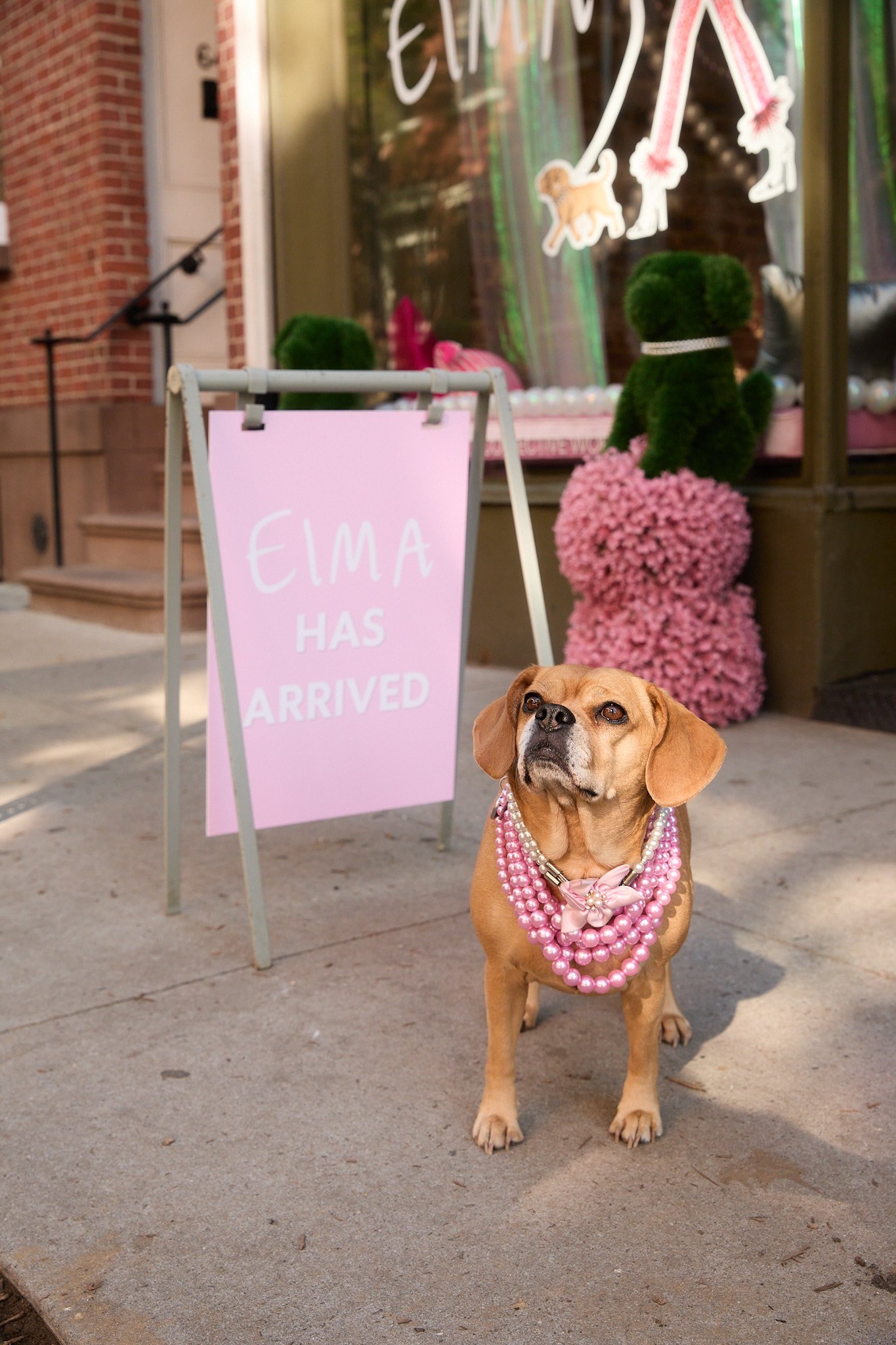 EIMA_BEDFORDSTUDIO_4_18_295.jpg