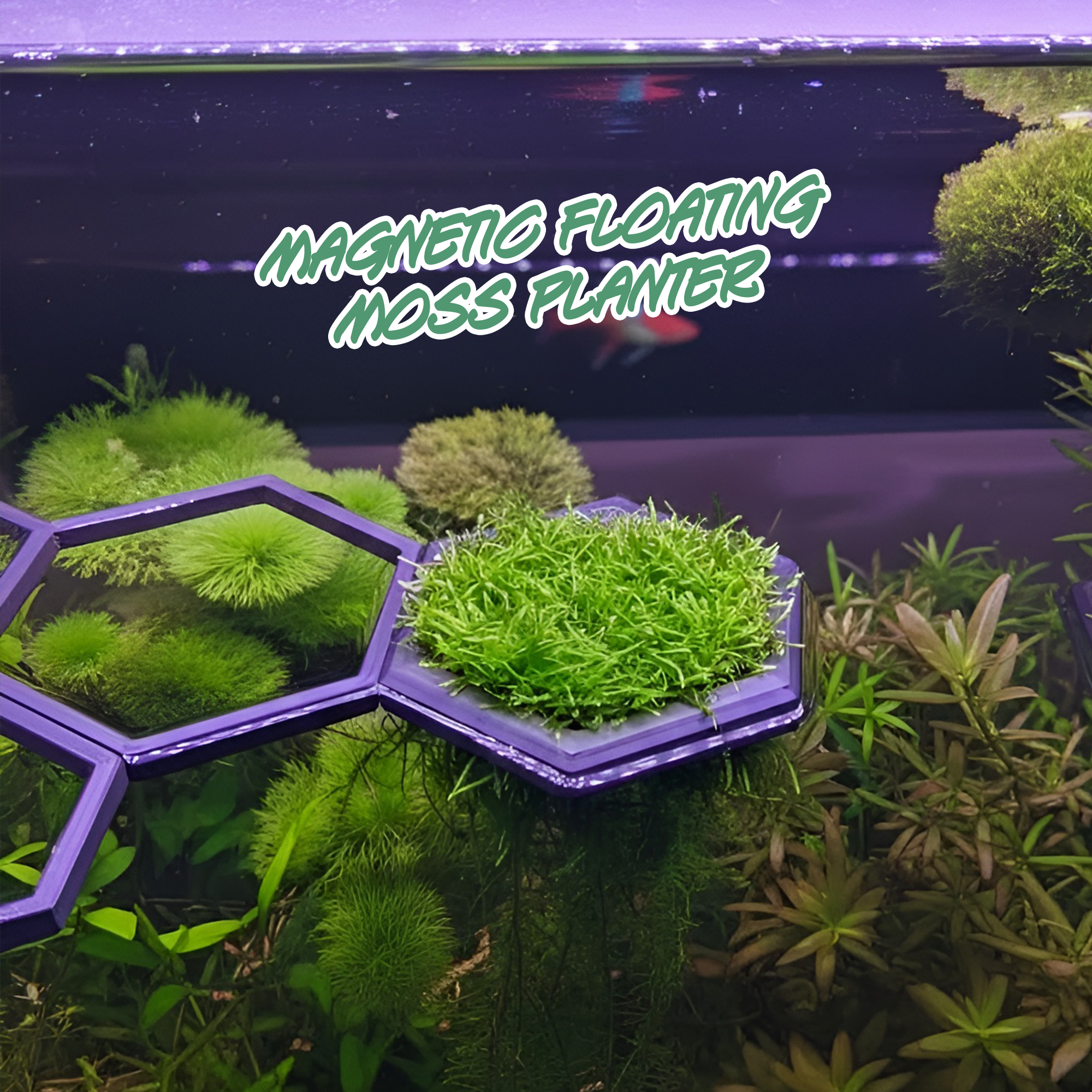 HexaLink Moss - Floating Magnetic Aquarium Planter