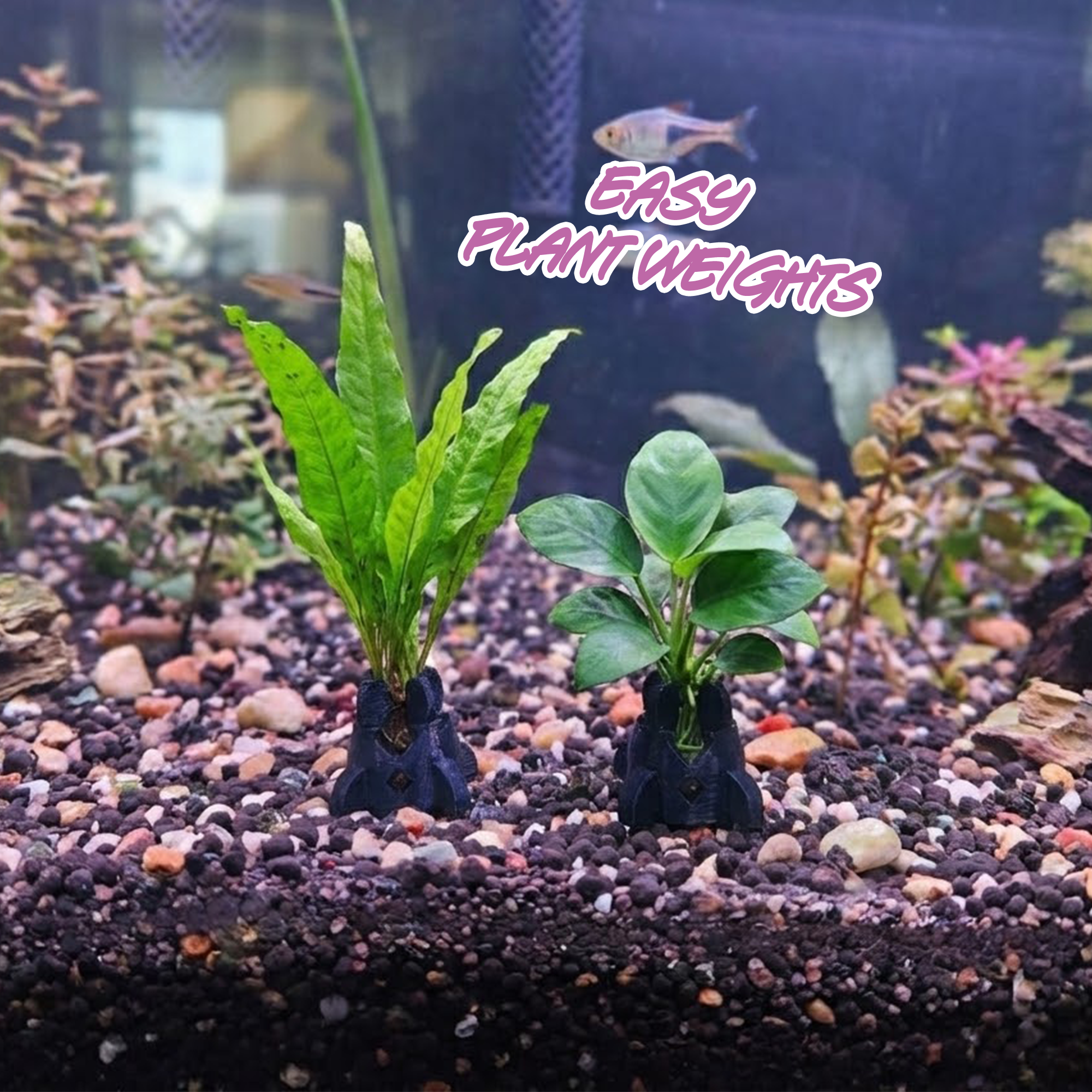 PlantPods - EASY Java Fern & Anubias Weights!