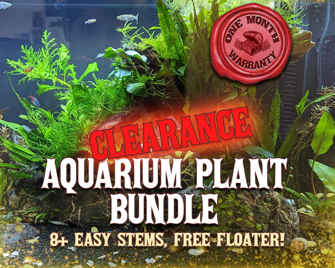 clearance.png