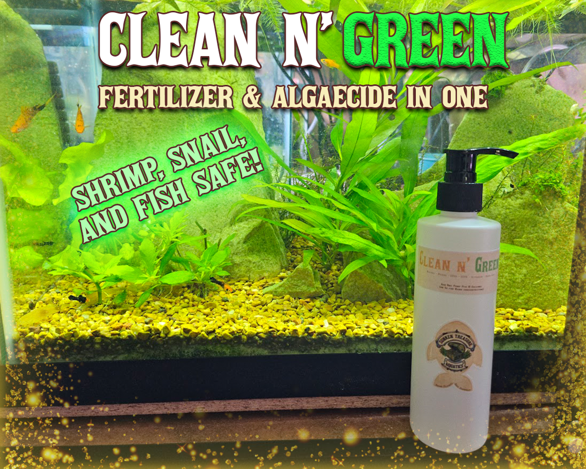 Clean n' Green Algaecide+Fertilizer