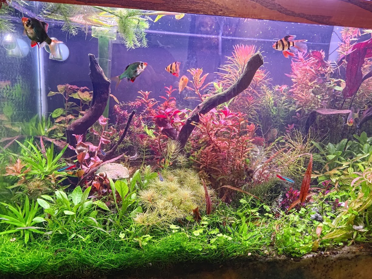 P_20230324_141031.jpg