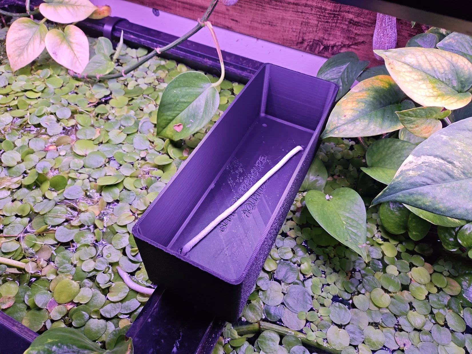 AquaWick Aquarium Brace Planter - Self Watering