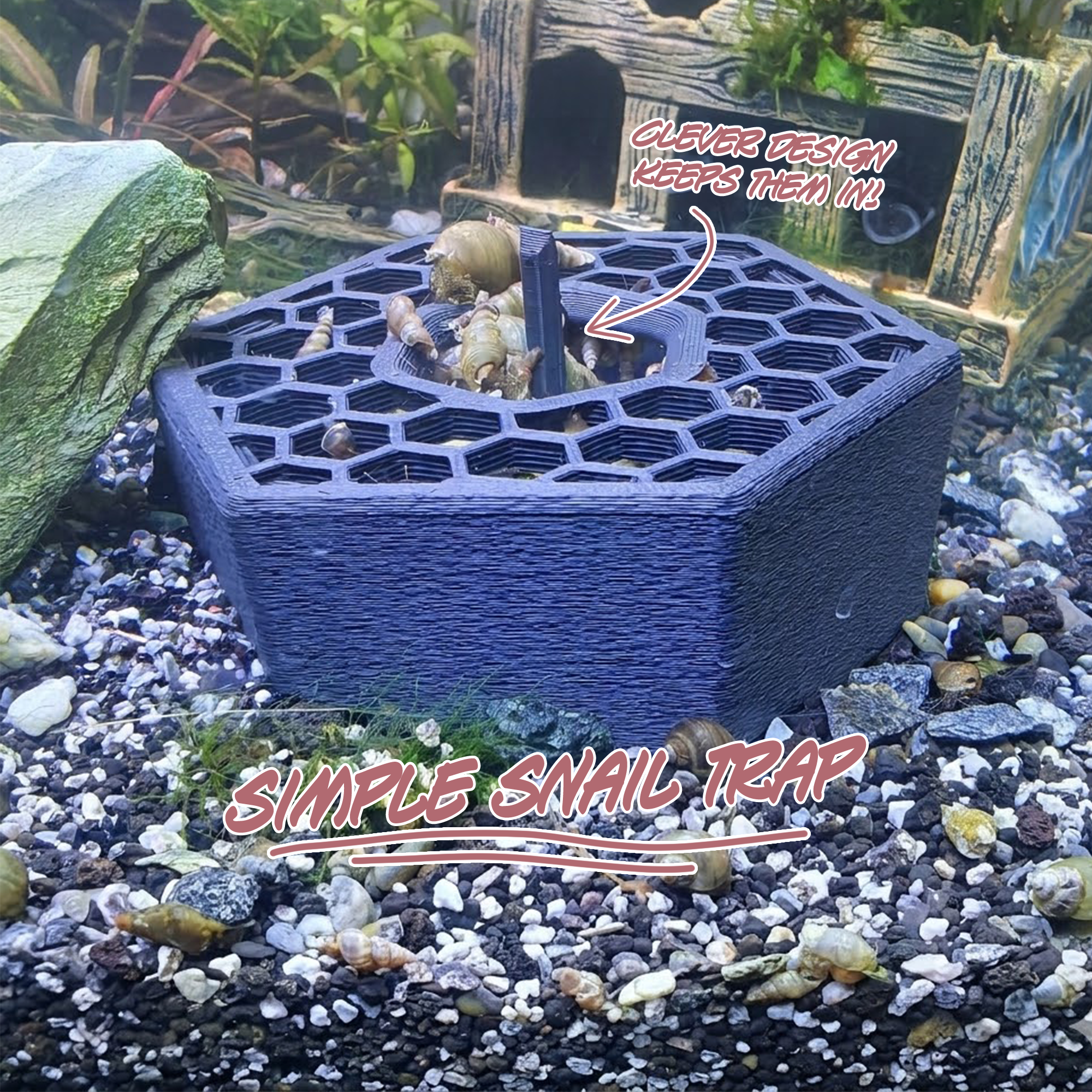 snailtrap.png