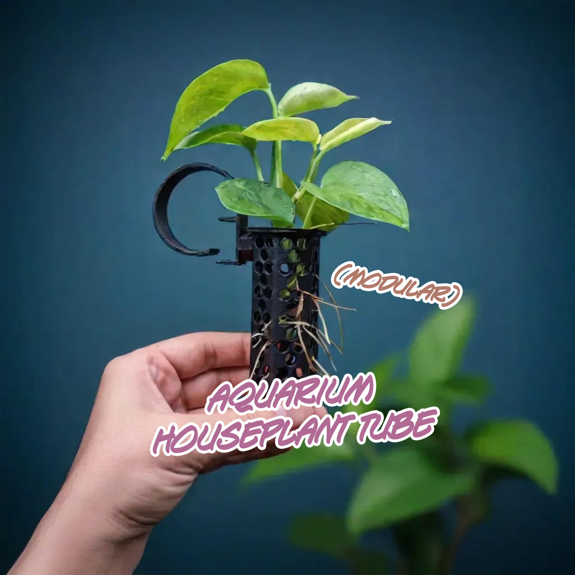 The Propagation Tube - Clip-on Modular Houseplant Aquarium Planter