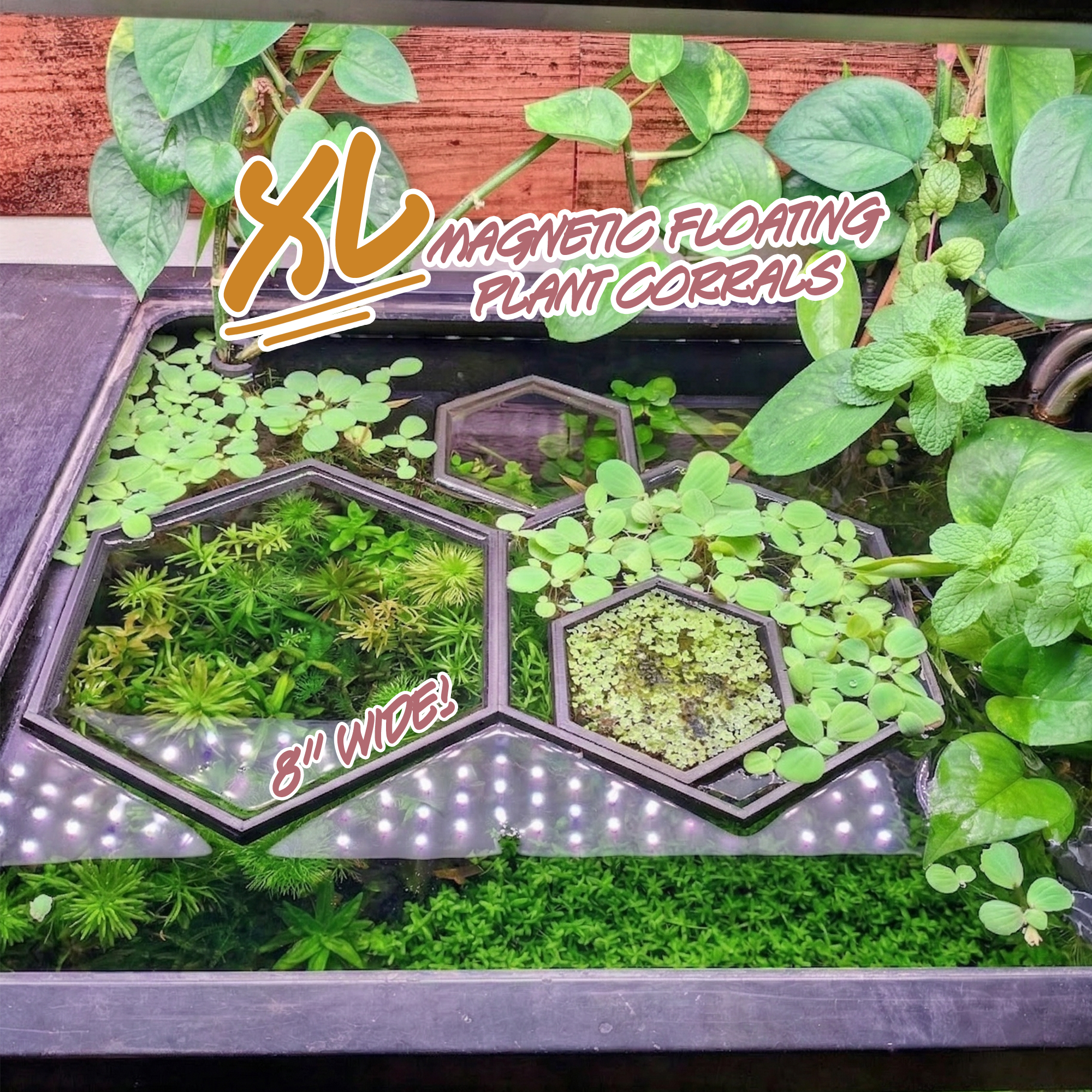 HexaLink XL Floating Magnetic Plant Corral