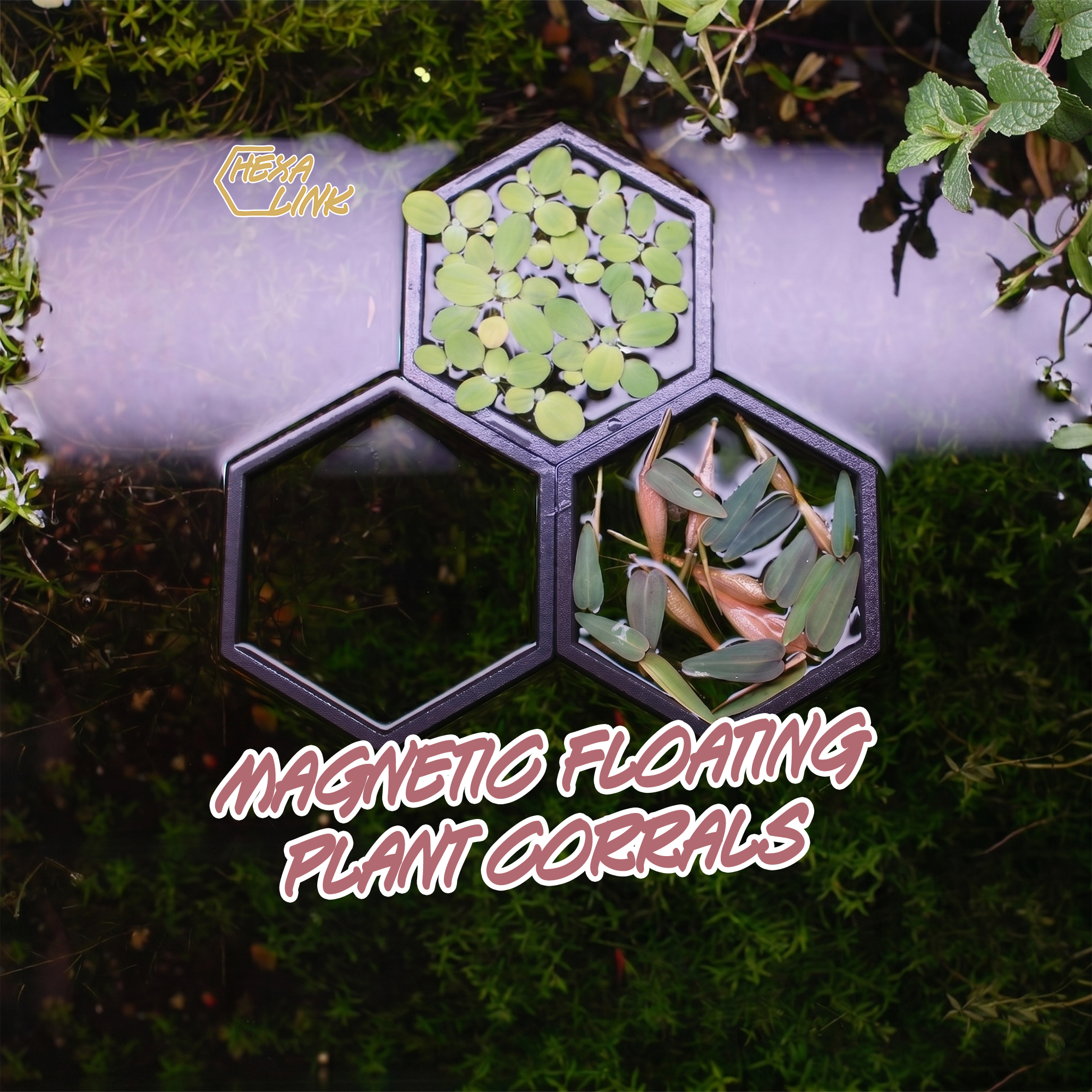 HexaLink Magnetic Floating Plant Corral