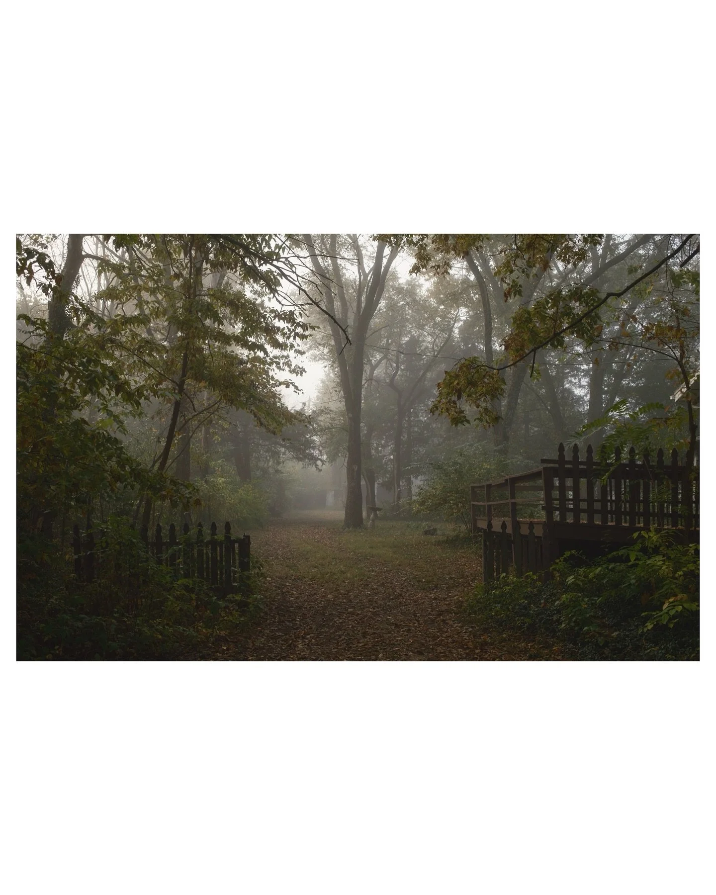 A few minutes of fog.  One of my favorite things.  Not much here in Denver so I am always ready to jump out and get in it. Magical. 
#fujifilm_xseries #fujix100ⅵ #lfk #fujixlovers 
@fujifilmx_us