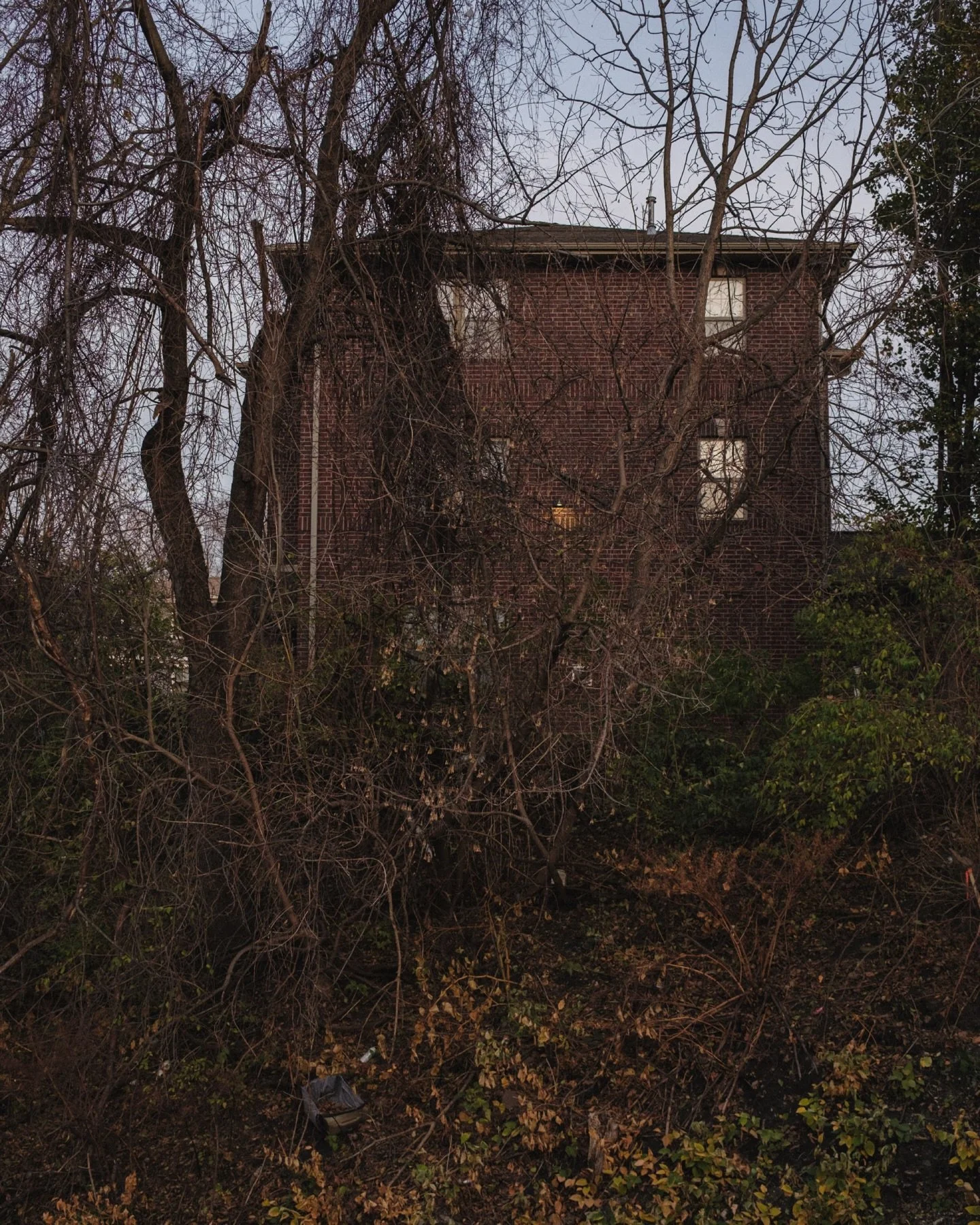 A trip to Iowa city in the winter is probably not on the top of anyone&rsquo;s list but you make the best of it.  A few peaceful walks will still inspire and make you think. There is a lot of beauty out there, even in winter. 

#iowacity #midwest #mi