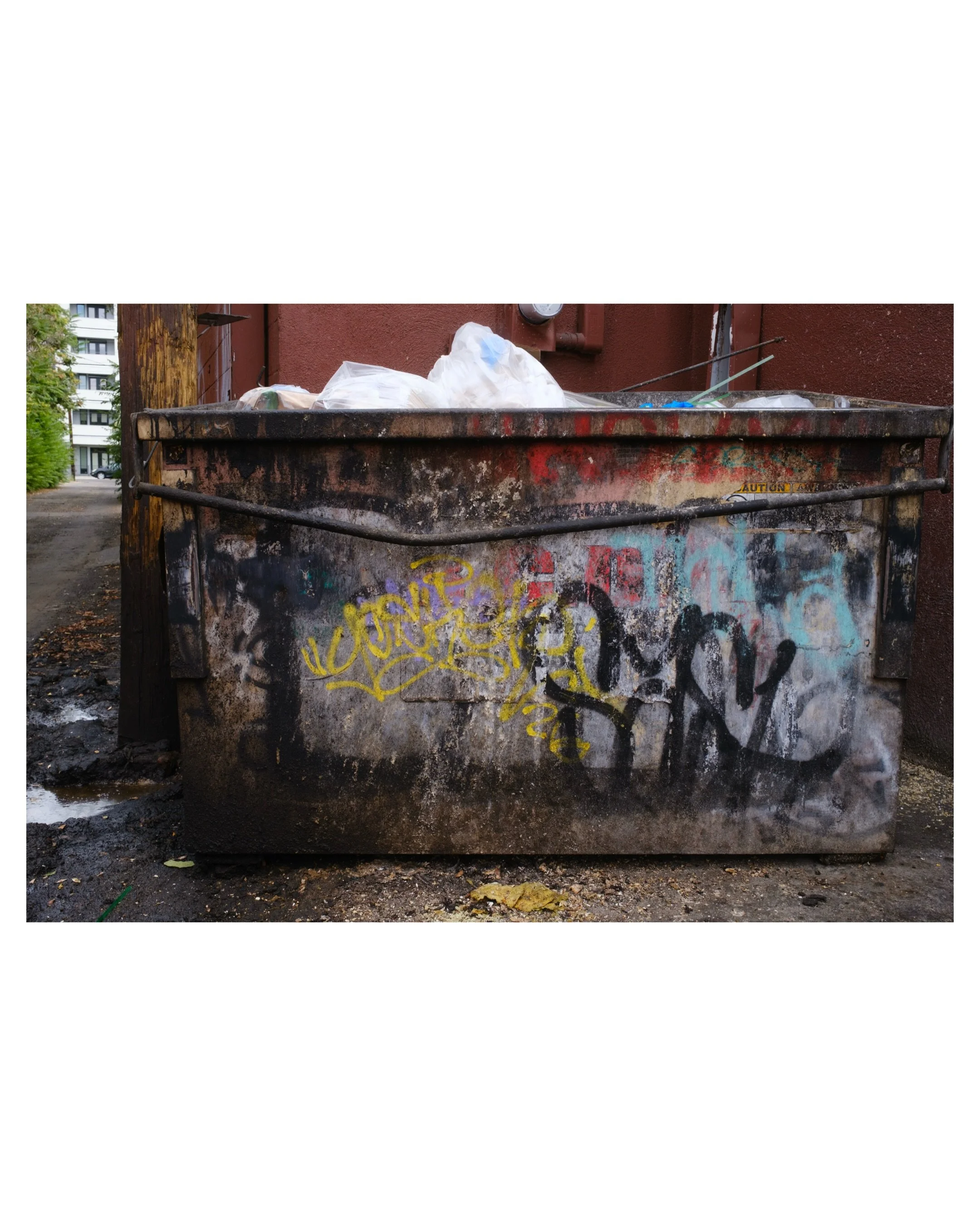 Here something that I love.  Nasty things in alley ways that can keep me interested for hours.  This dumpster is located behind my old studio down on walnut street.  I think it was the main dumpster for the tortilla factory off the alley.  I am prett