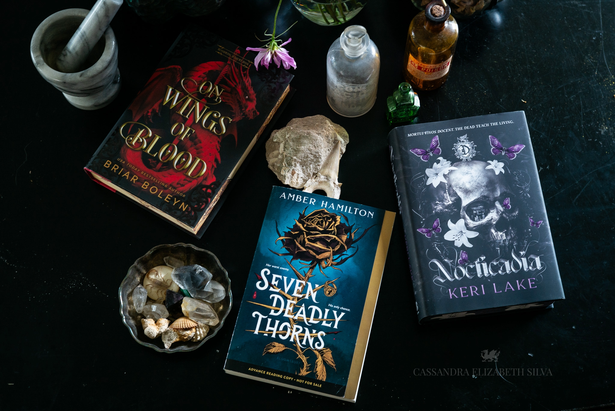 This image features the three books (from left to right) On Wings of Blood, Seven Deadly Thorns, and Nocticadia