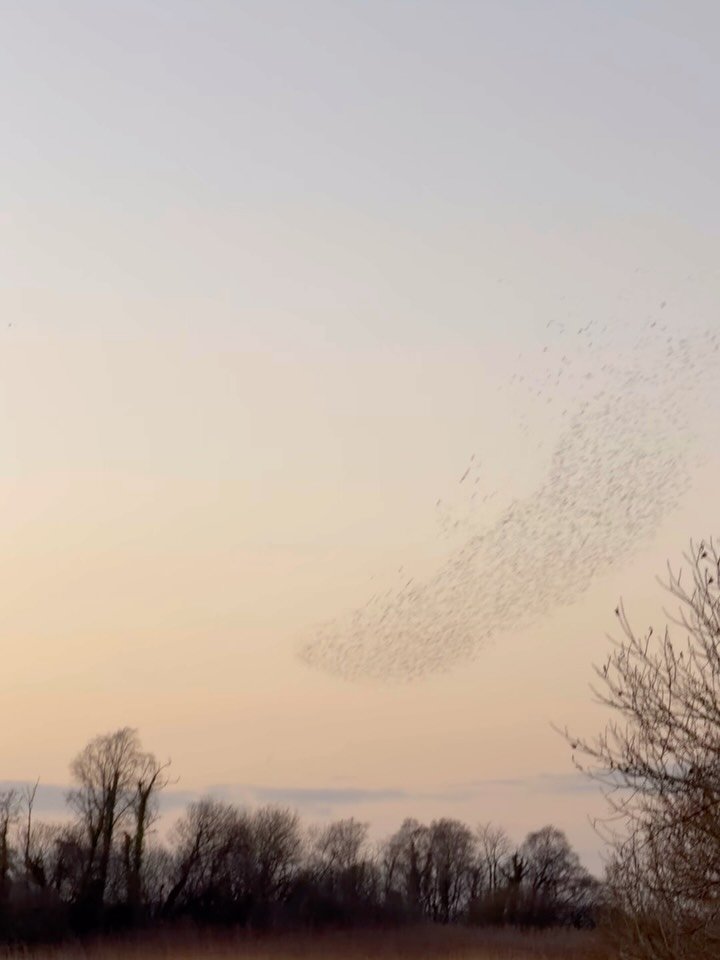 Just a friendly reminder that we are on a short winter break. We will be back open on Tuesday the 5th. 

Looking forward to welcoming you back, well rested and recharged ✌️