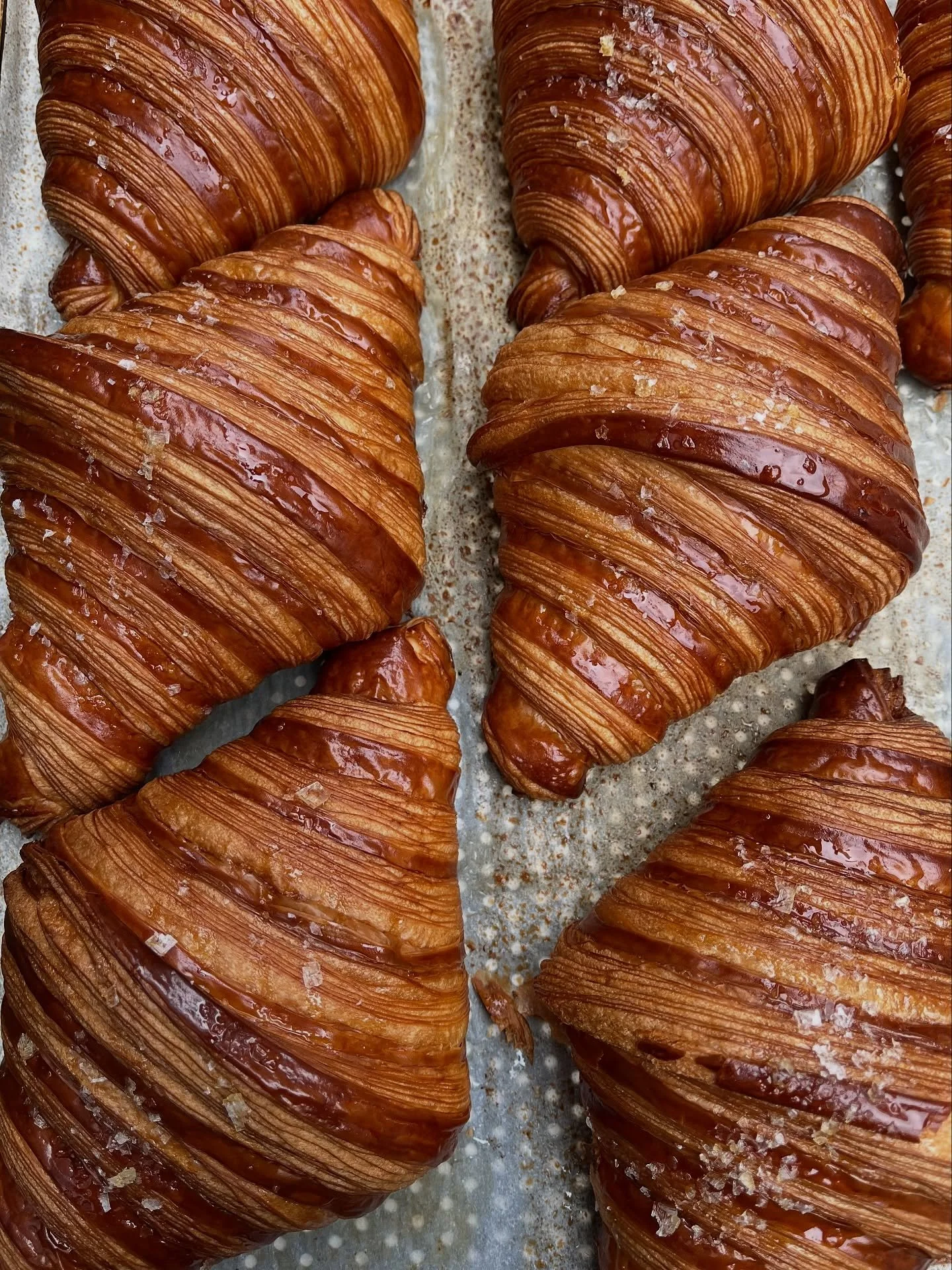 Honey and sea salt croissant.

On the counter in both shops every weekday 🤎