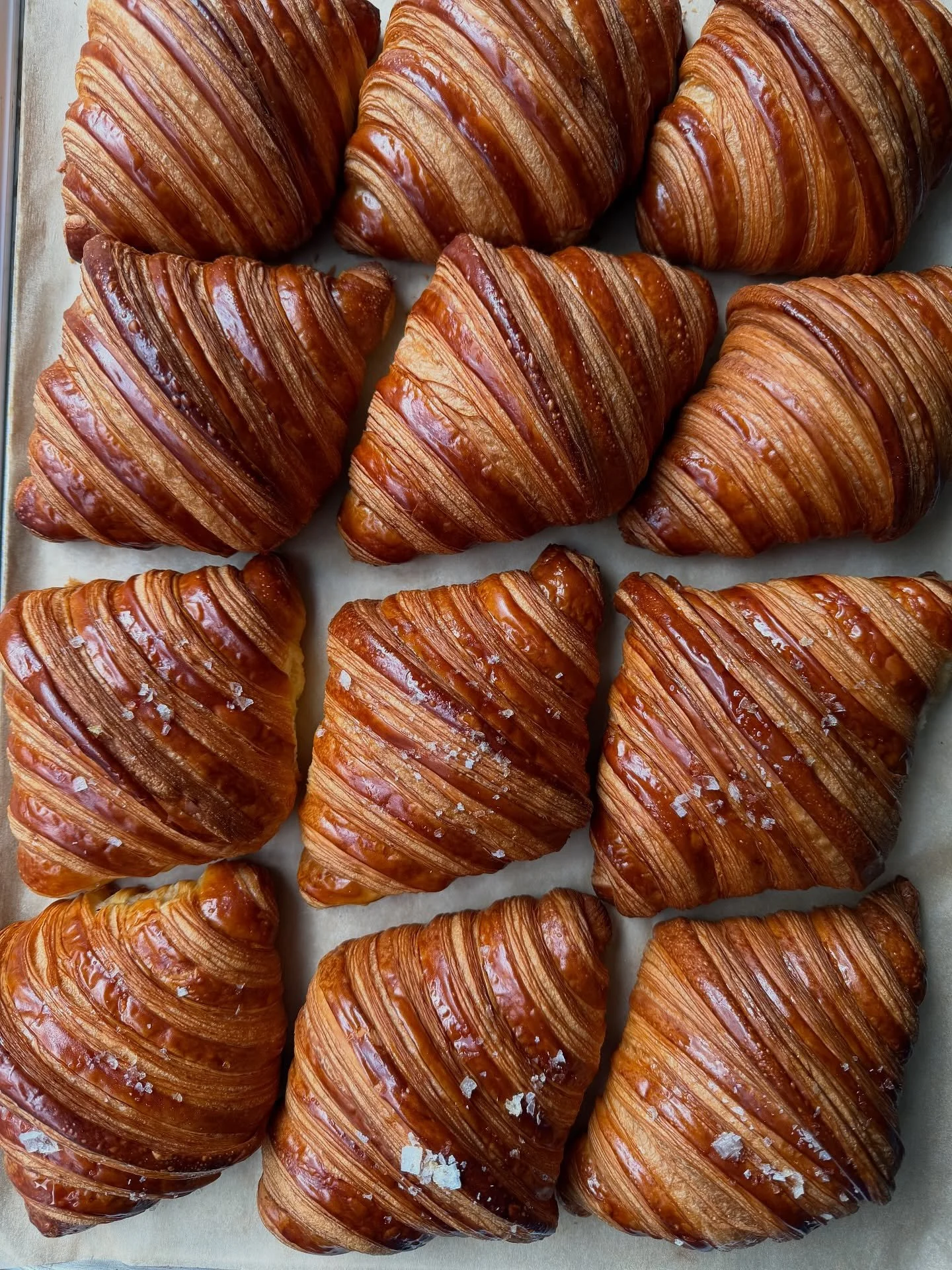 🥐 🥐 🥐

On the counter everyday. 

Honey and Sea Salt, Classic, Almond, Pain au Chocolat or Hazelnut Praline Pain au Chocolat.
