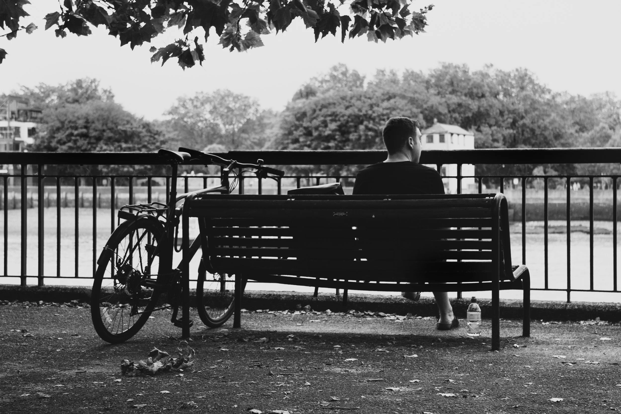Why Successful Men are Lonely