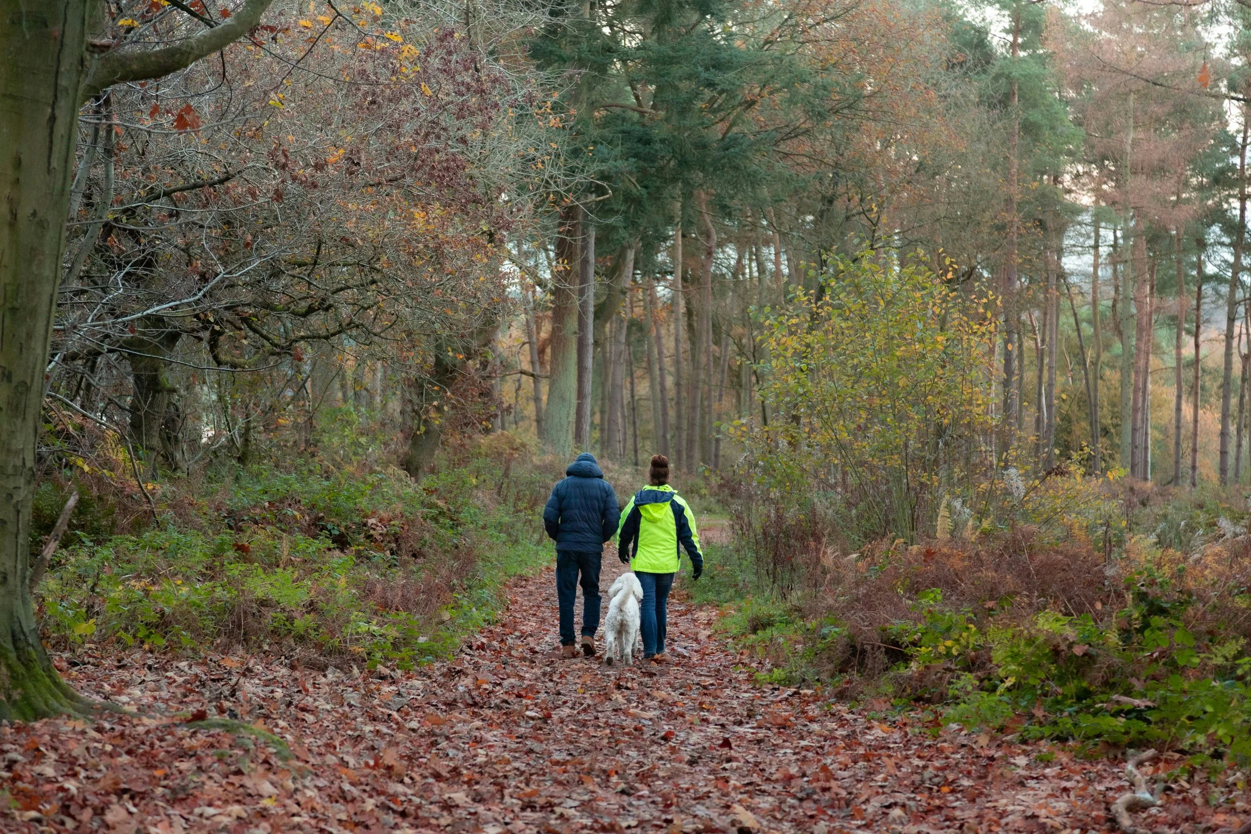Fathers and Sons — The Patterns That Pass Down Without Words