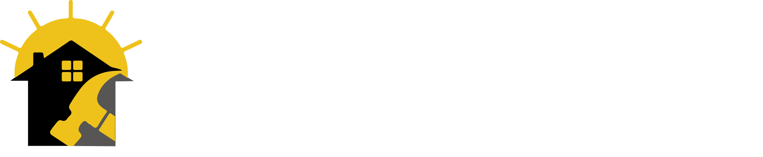 NHH Logo (white).png