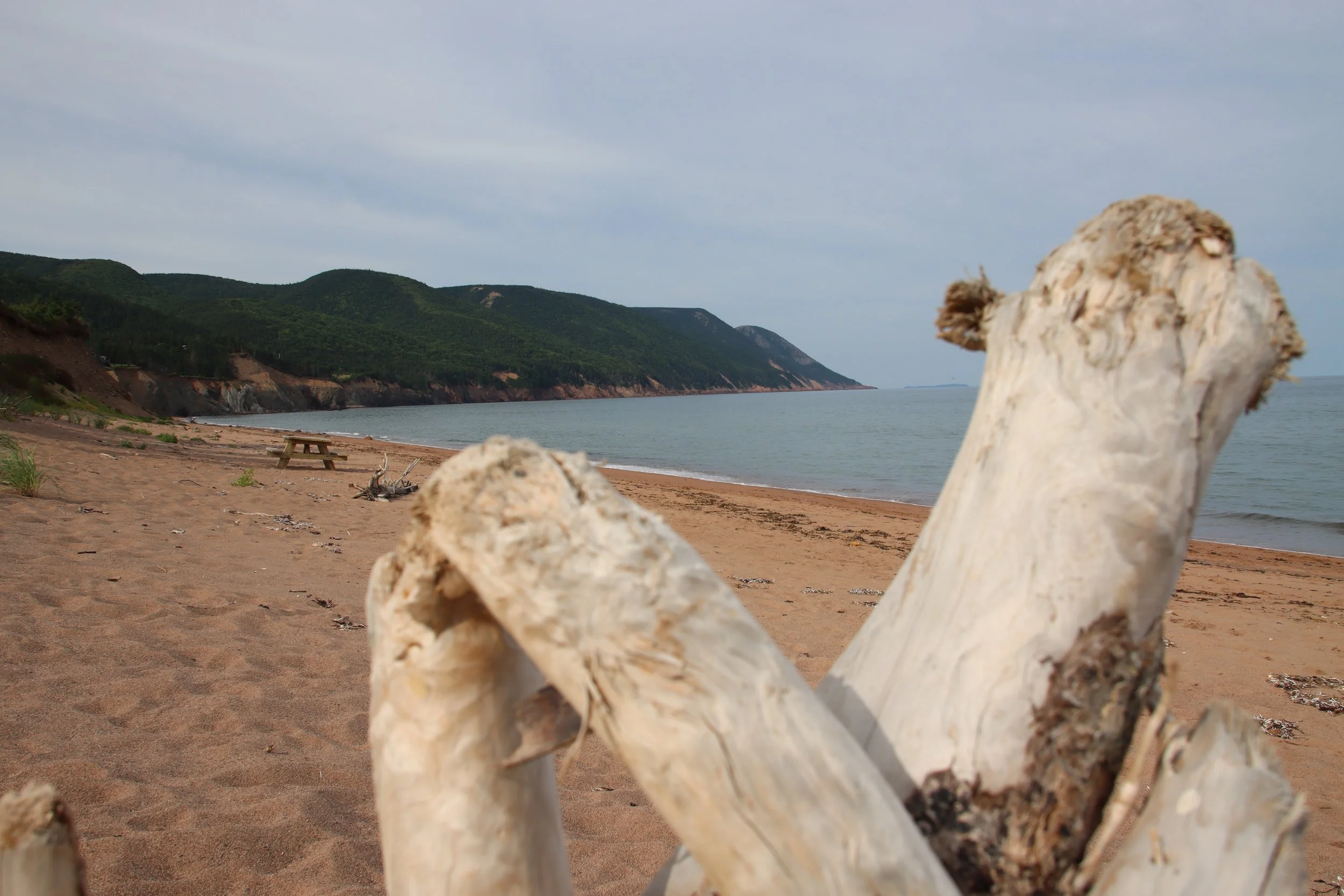 Cape Breton National Park