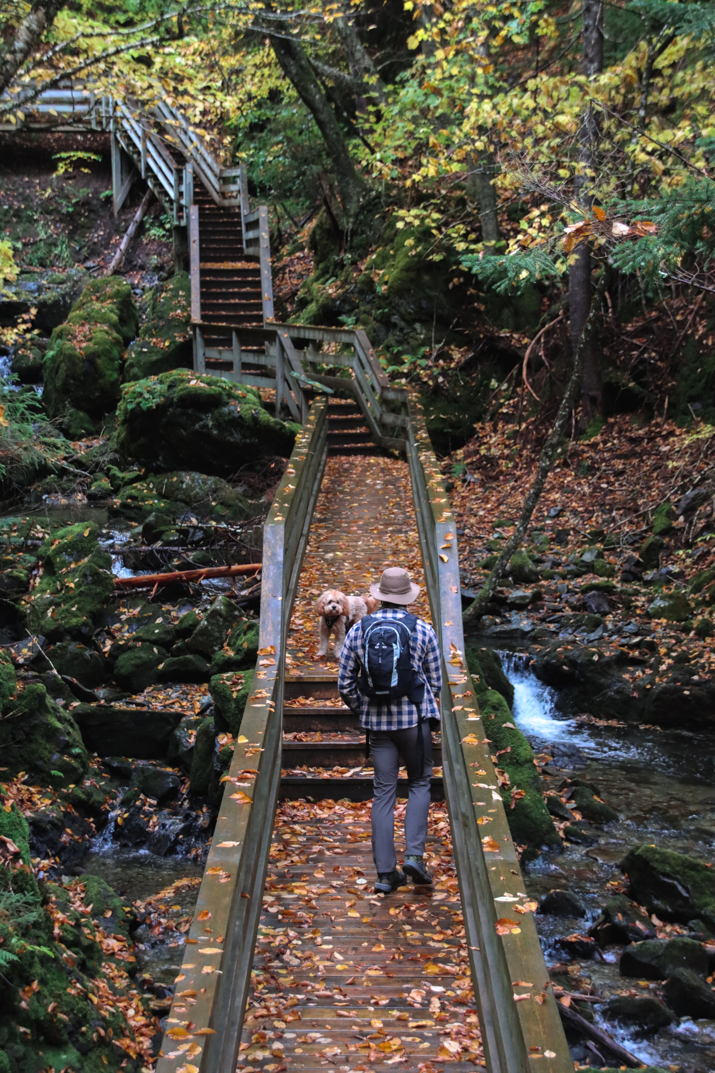 Fundy National Park 2022-34.jpeg