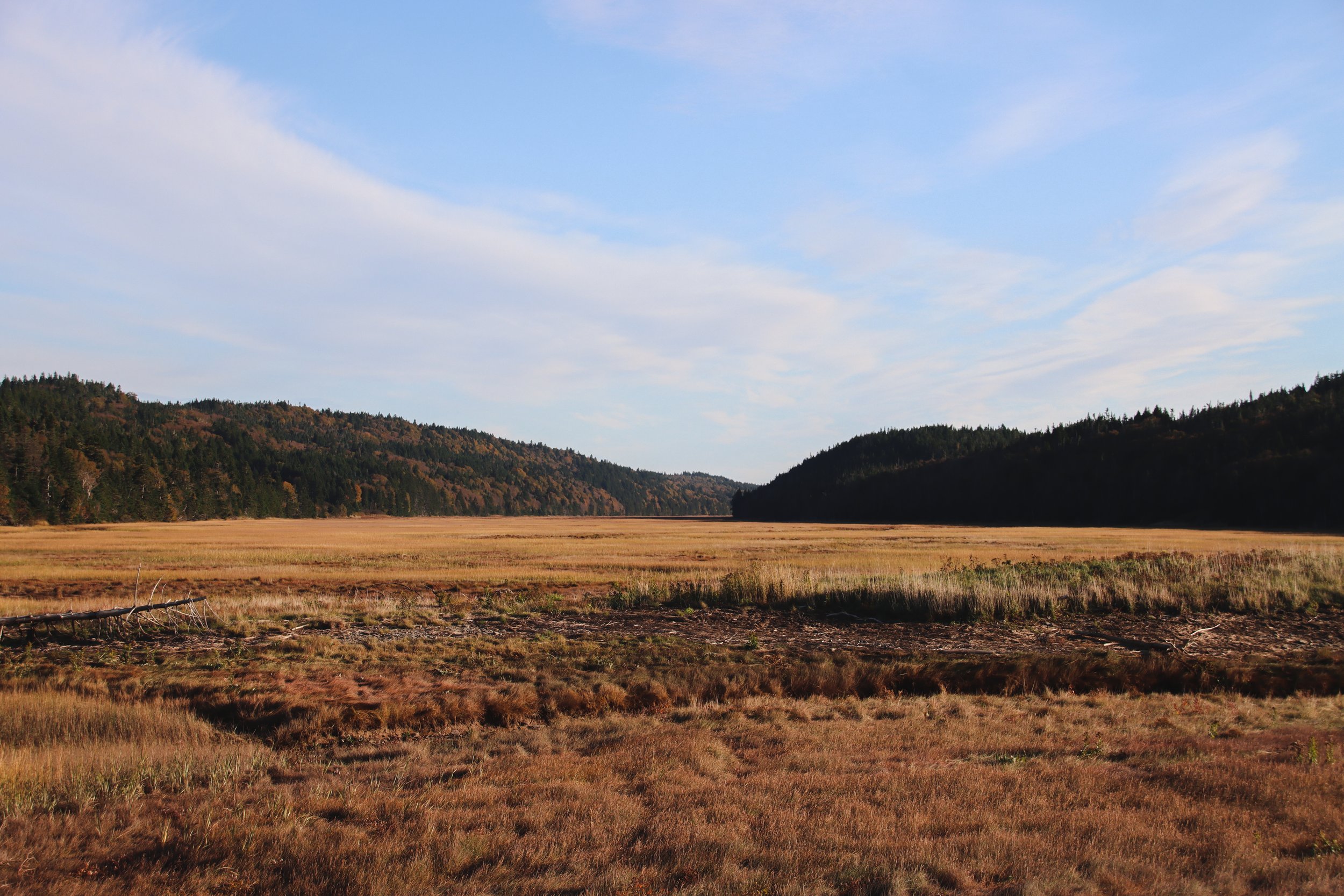 Fundy National Park 2022-52.jpeg
