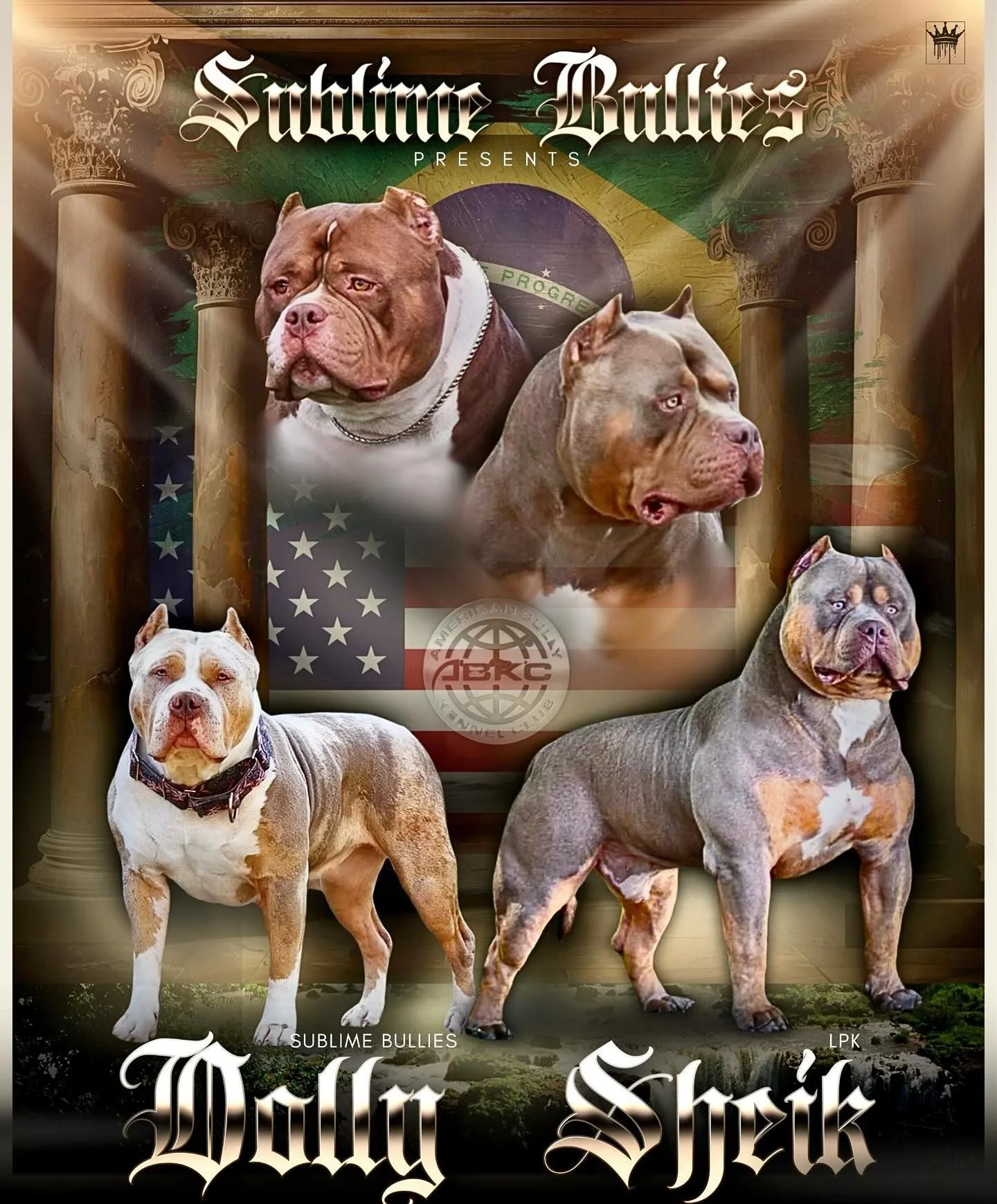 WhatsApp Image 2025-10-26 at 22.40.29_15c5f3e9.jpg