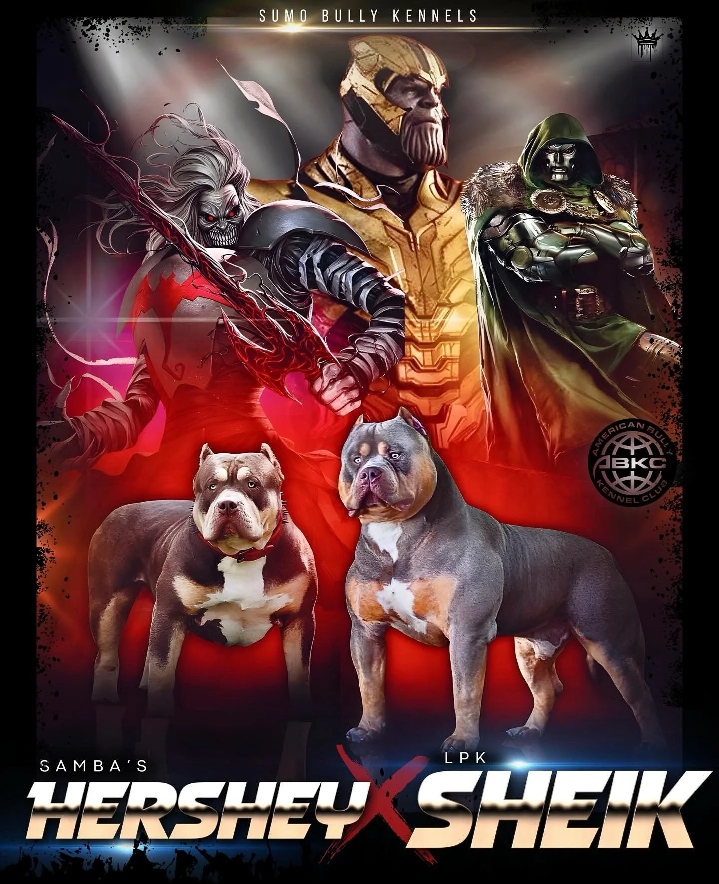 WhatsApp Image 2025-10-26 at 21.13.31_c9793f29.jpg