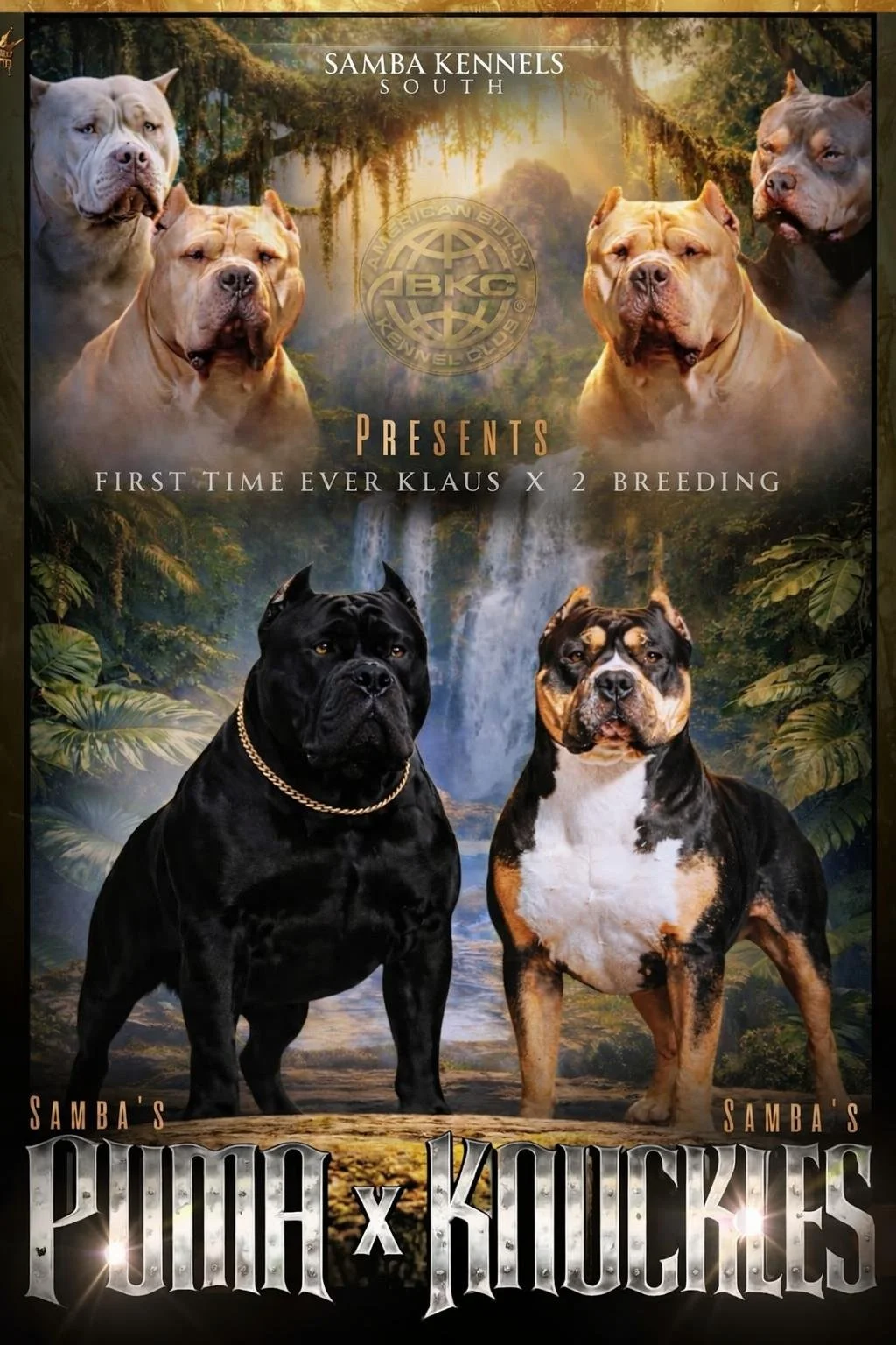 WhatsApp Image 2026-01-30 at 18.28.02.jpeg