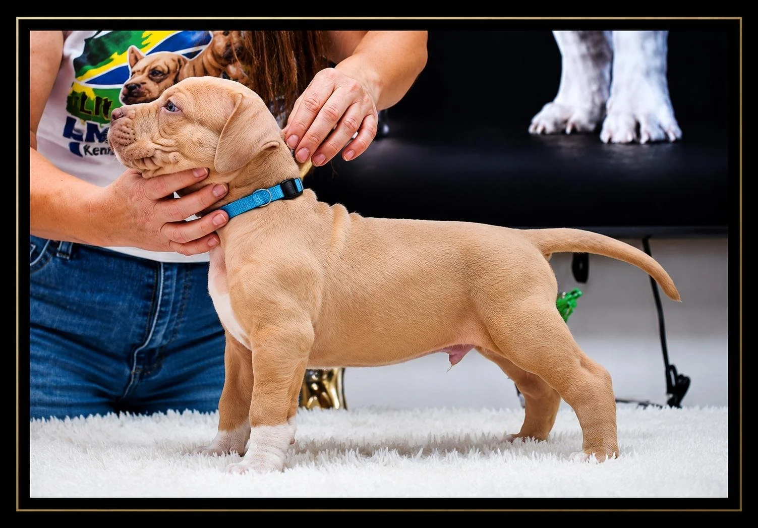 Male - Blue Collar