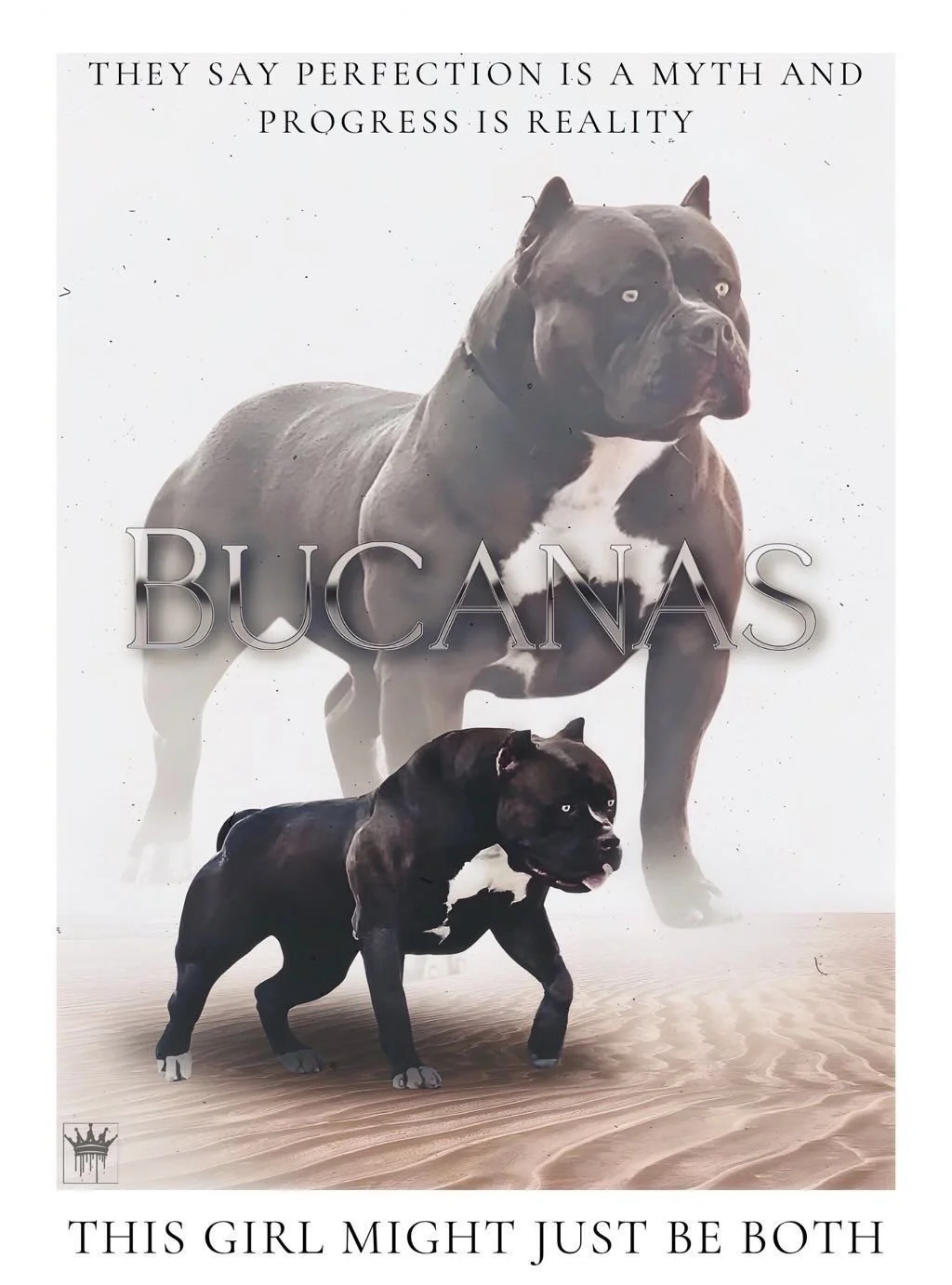 A poster featuring two pitbull dogs, one large and one small. The smaller dog is walking in the foreground, and the larger dog appears in the background. Text at the top says, "They say perfection is a myth and progress is reality." The large dog has