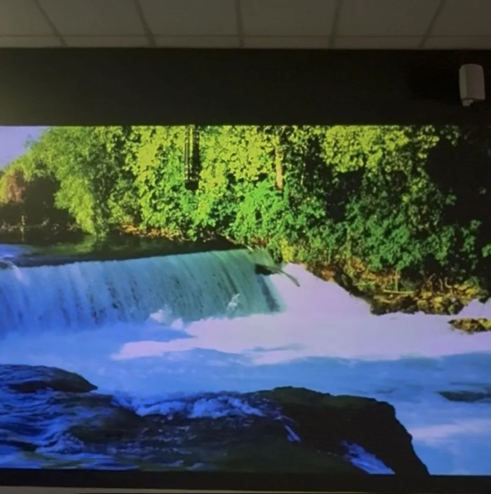 Immersion Studio
