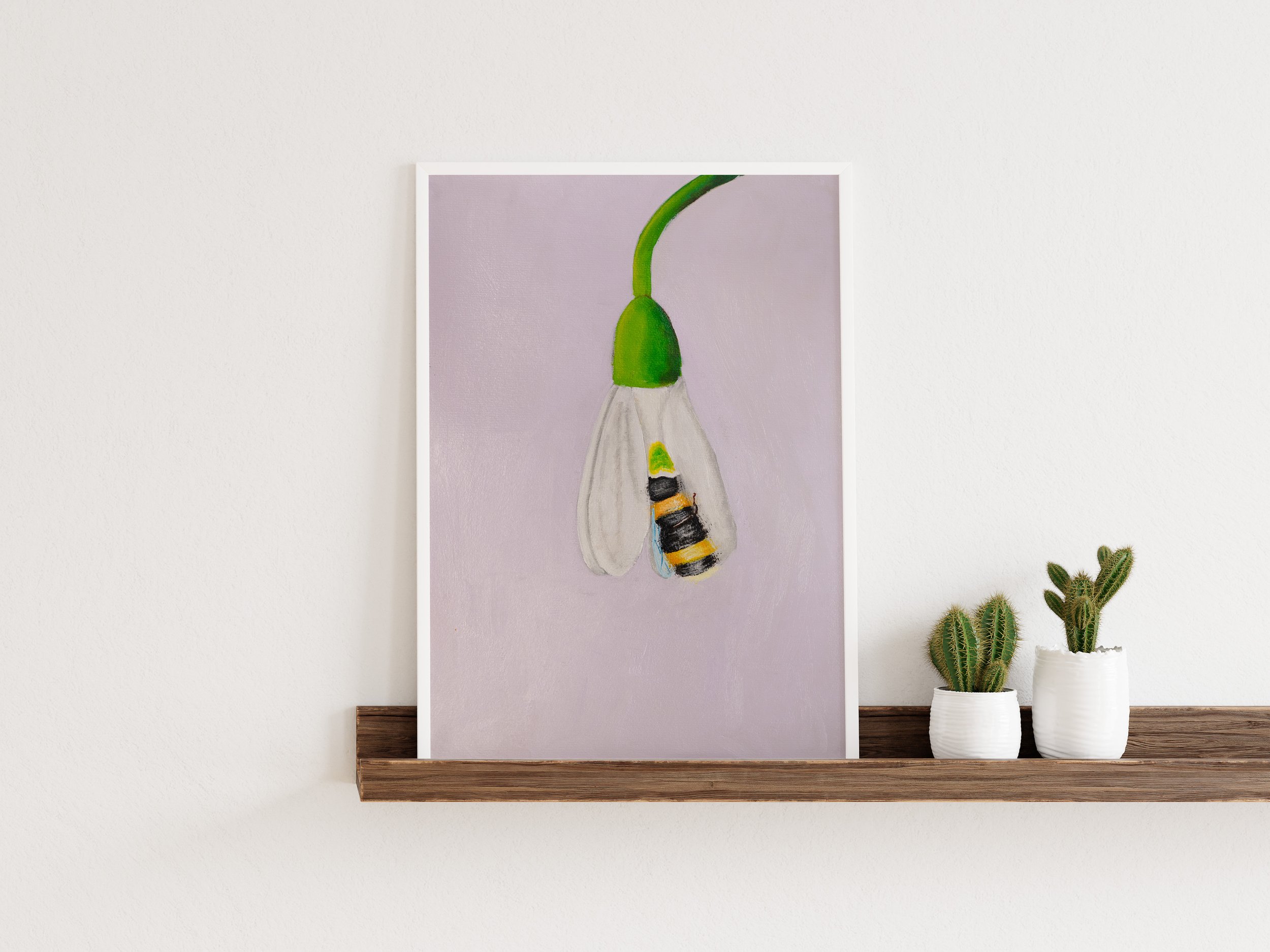 Snowdrop White Frame.jpg