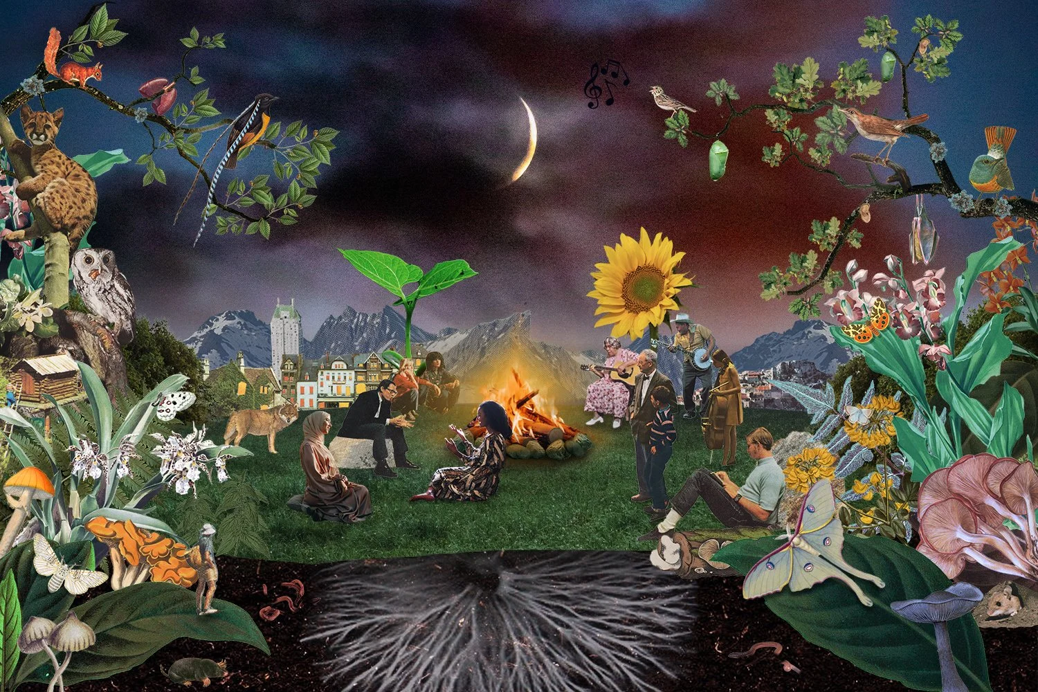 Collage Art & Animation for a year-long regenerative leadership learning journey