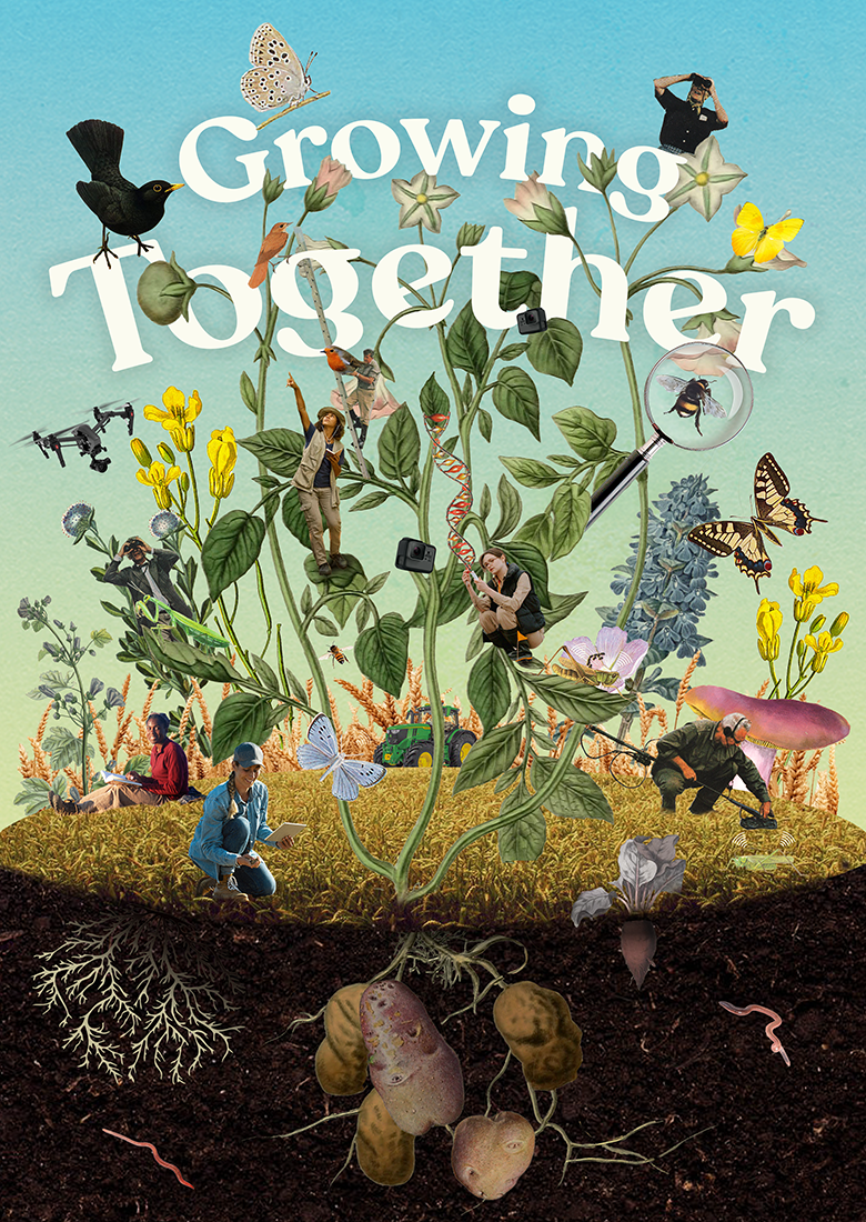 Postcard Design & Animation for a Biodiversity Monitoring Project
