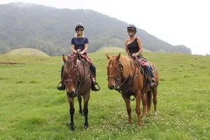 horseback riding big island