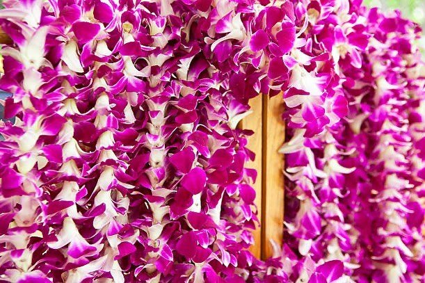 May Day is Lei Day! 
This celebration began in Hawai&rsquo;i on May 1, 1928 as a way to celebrate the tradition of lei making and the Hawaiian Culture. 

Make a lei, wear a lei or even buy a lei! Today is the day.