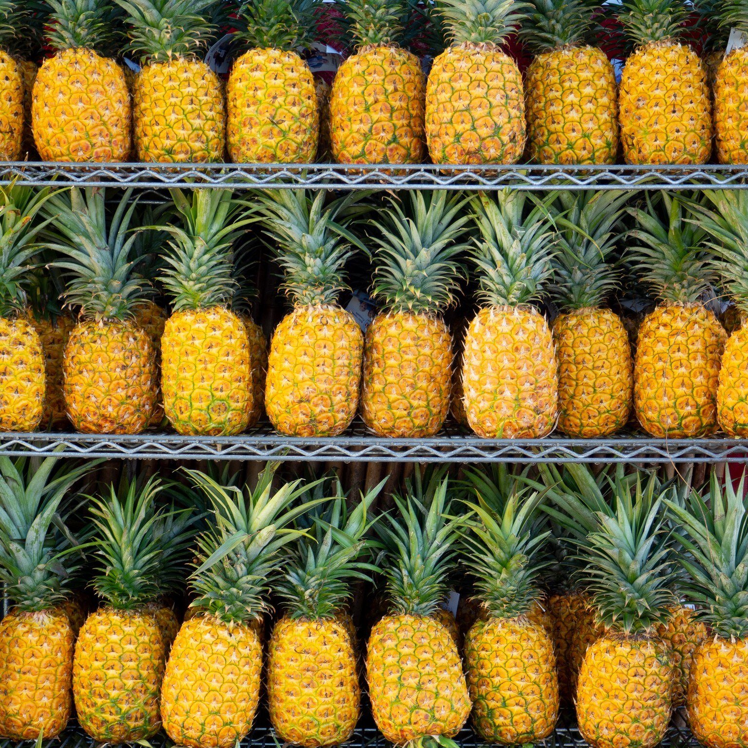 Pineapple Quiz! 

Q: Do you know how long it takes for a pineapple to grow? 

A: It can take up to 3 years! 

Q: Do you know what pineapples symbolize? 

A: Hospitality! Something that is very important here in Hawai'i 😊

Q: Are Pineapples native to