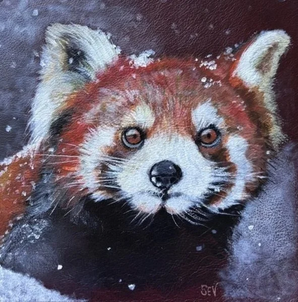 RED+PANDA+on+leather+w+snow.jpg