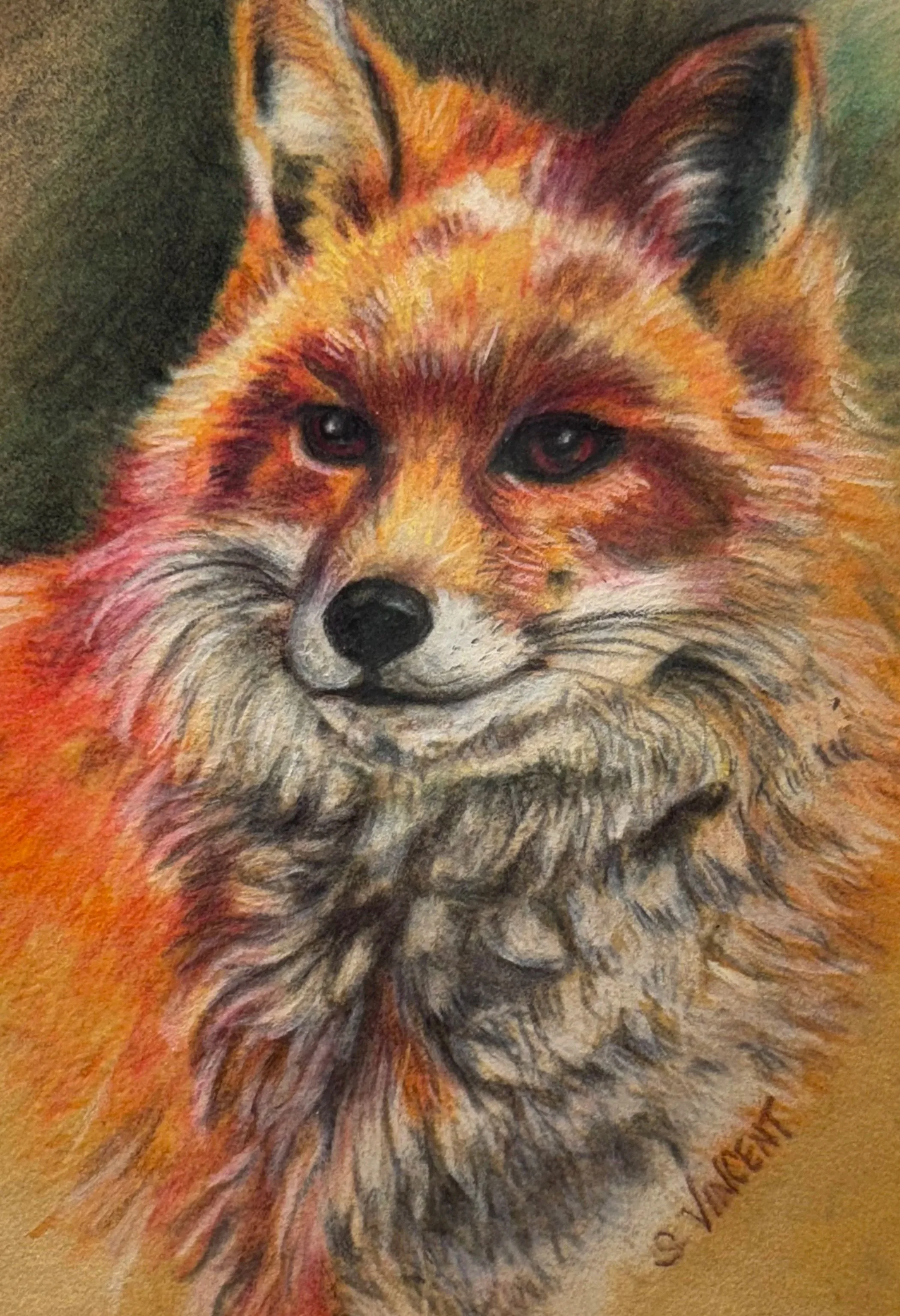 Red+fox.jpg