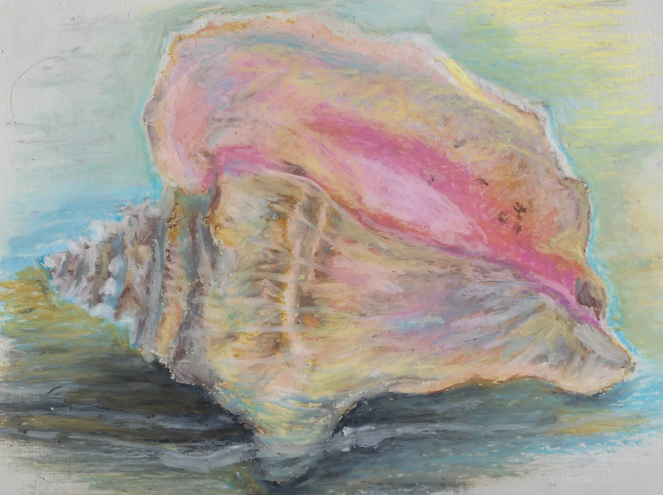 Oil+pastel+conche+shell.jpg