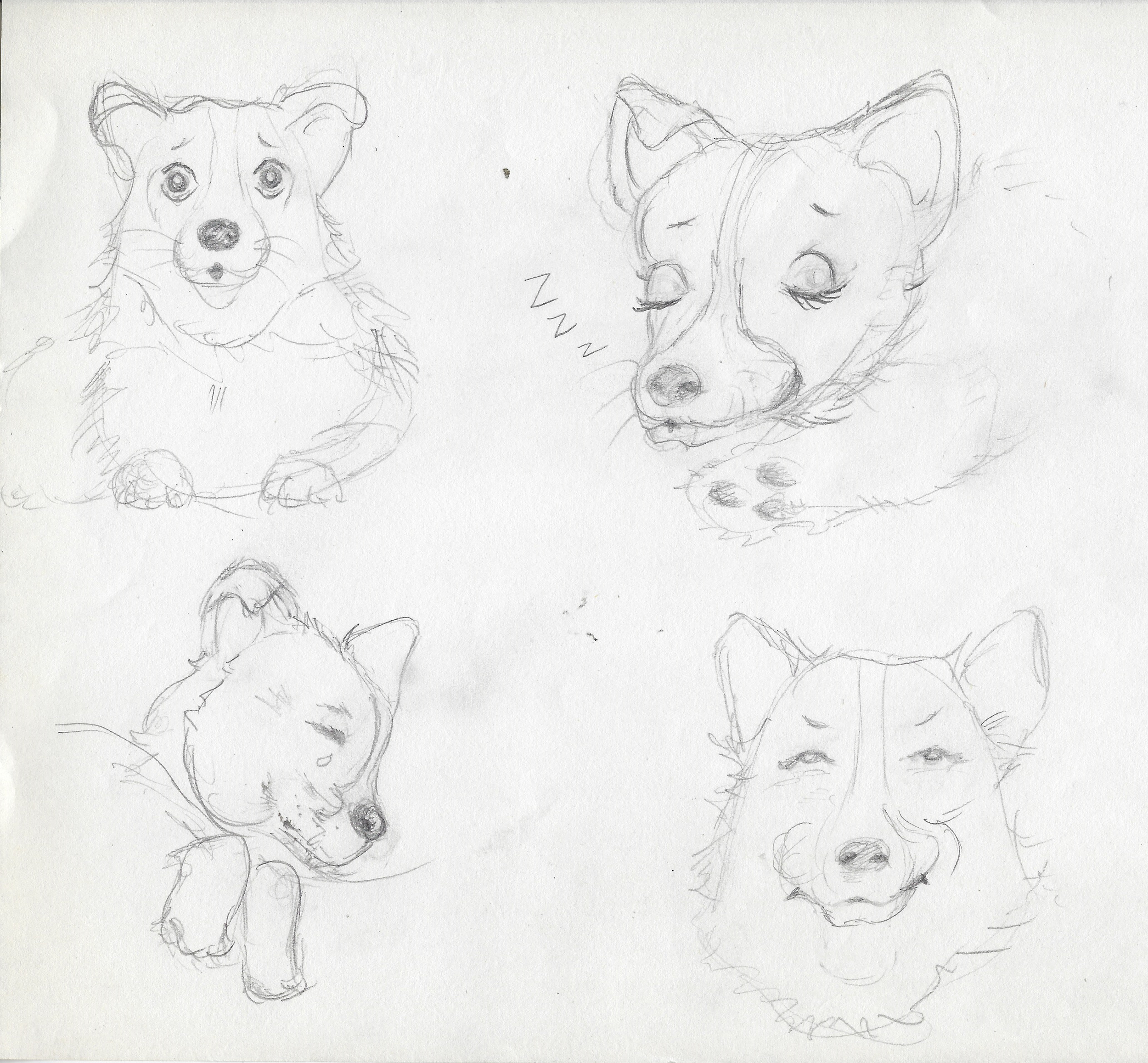 Character sketches 2.png
