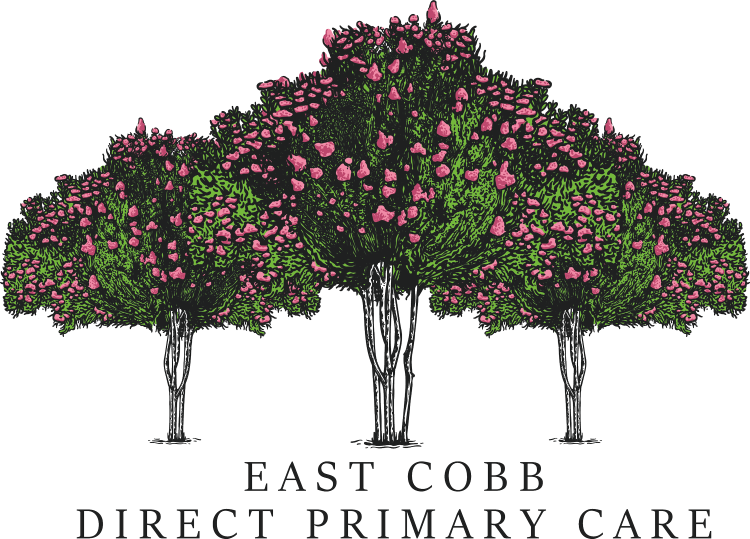 East Cobb Direct Primary Care