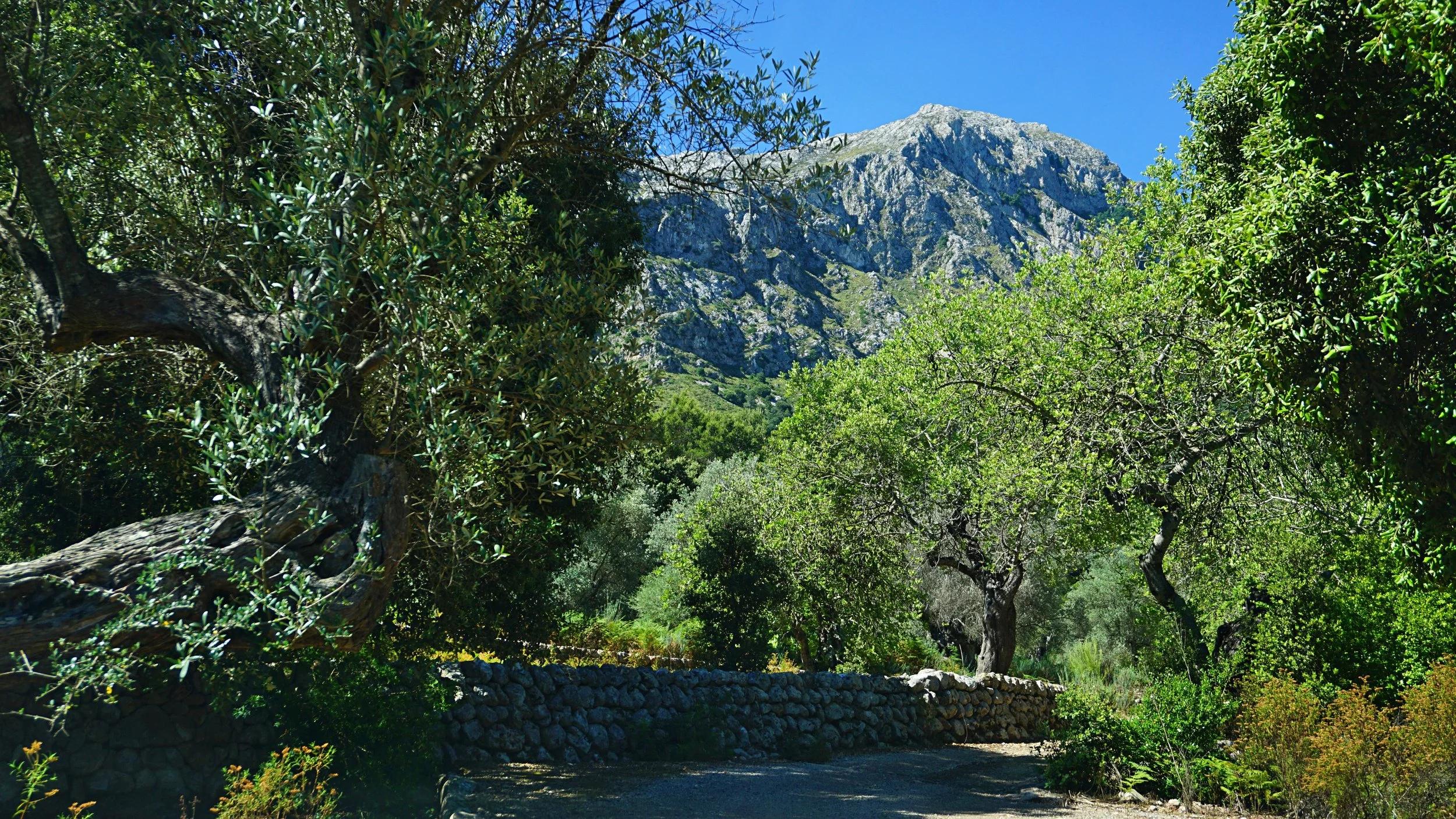 BV Can Melcion - X 01.jpg