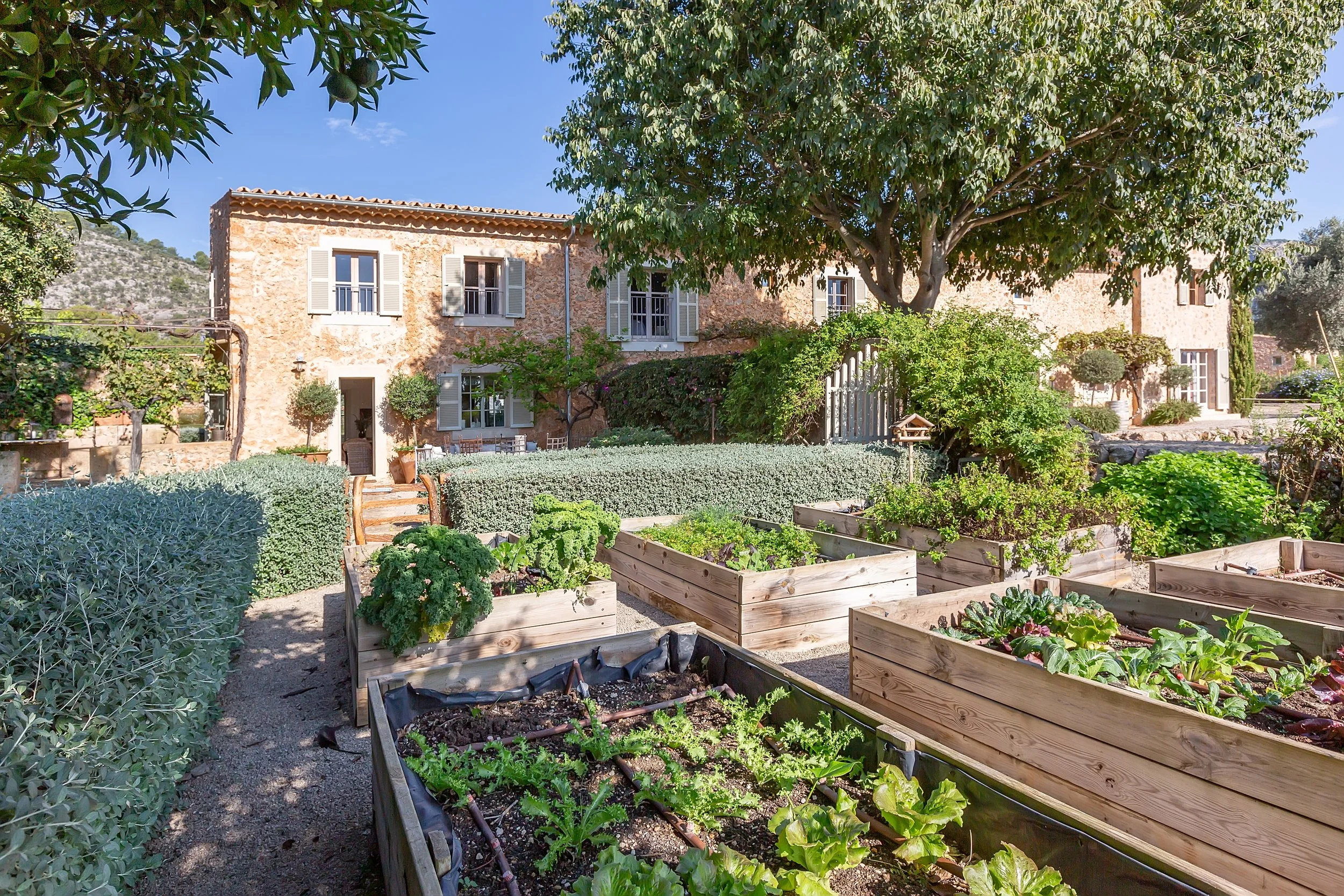 EC Villas - Alaro-8215.jpg