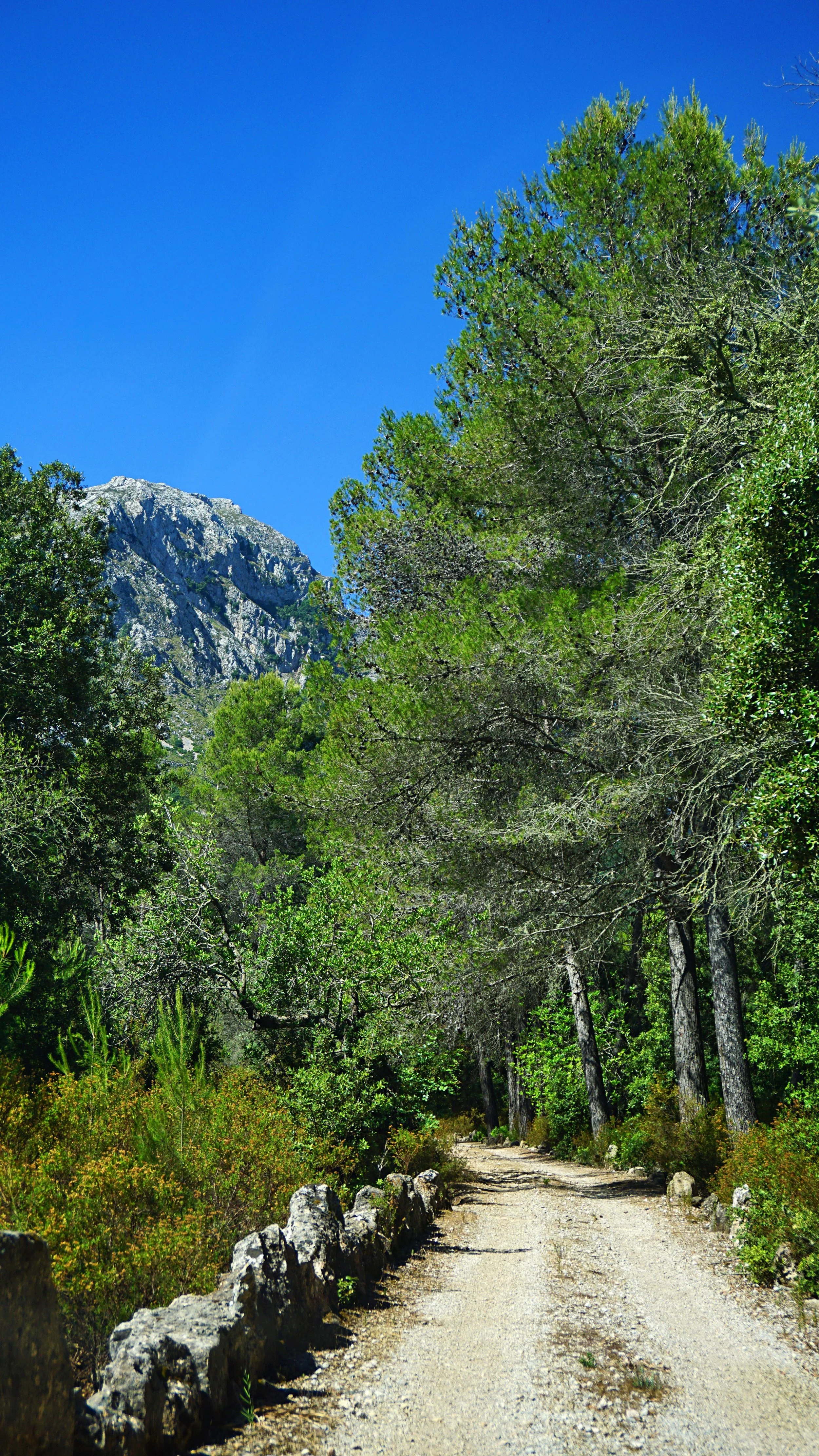 BV Can Melcion - X 01p.jpg