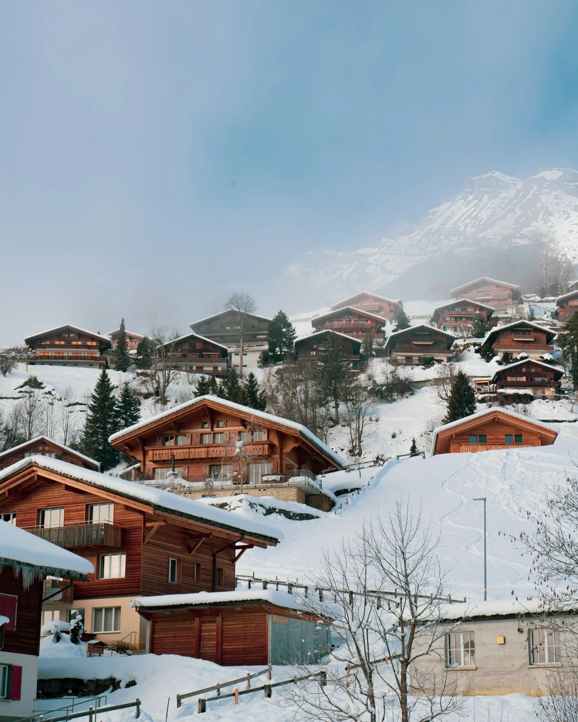 Snow-covered hillside with multiple wooden chalets and houses with sloped roofs, under a cloudy sky with a mountain in the background.